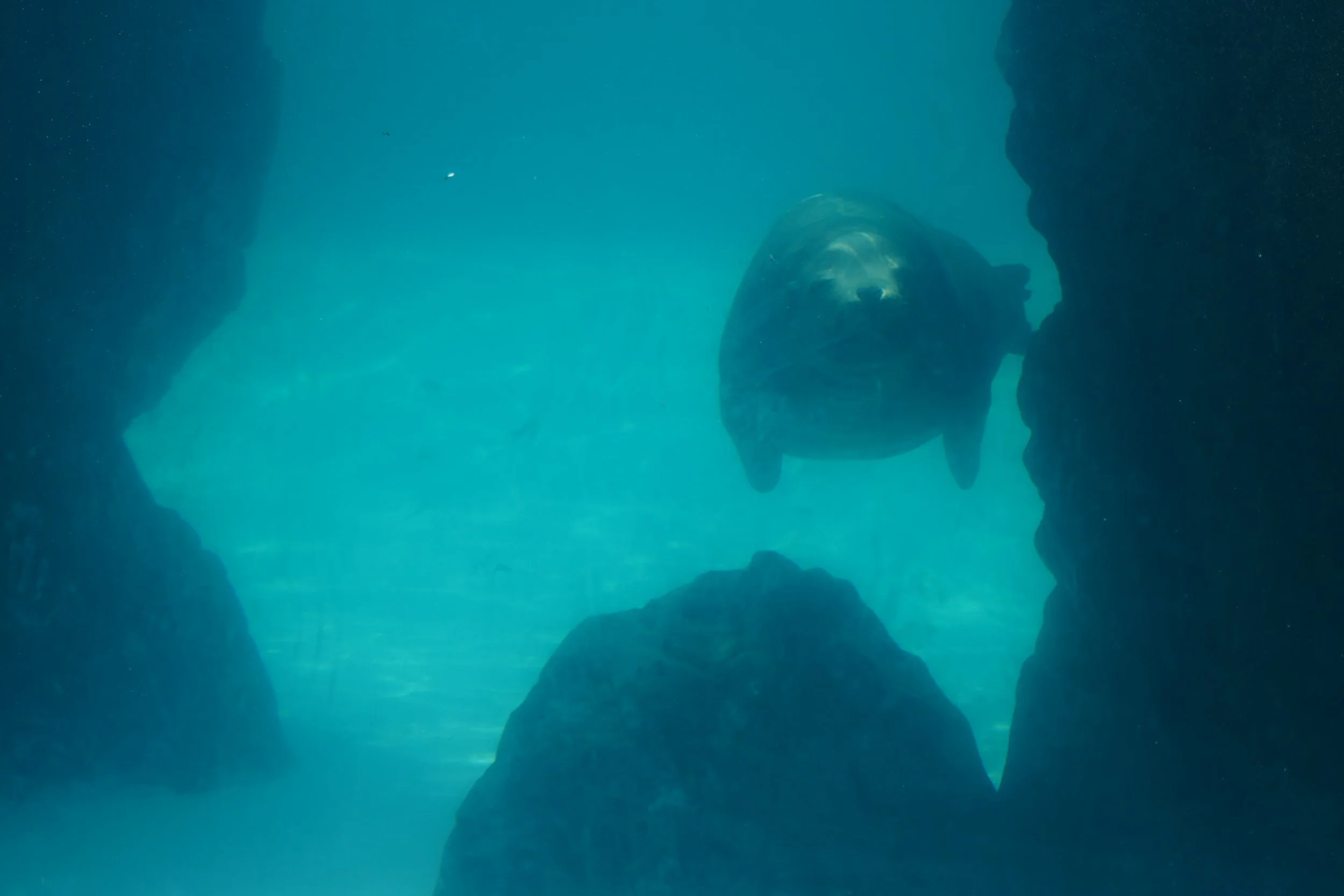 LIA 6:23:2024-03.JPG