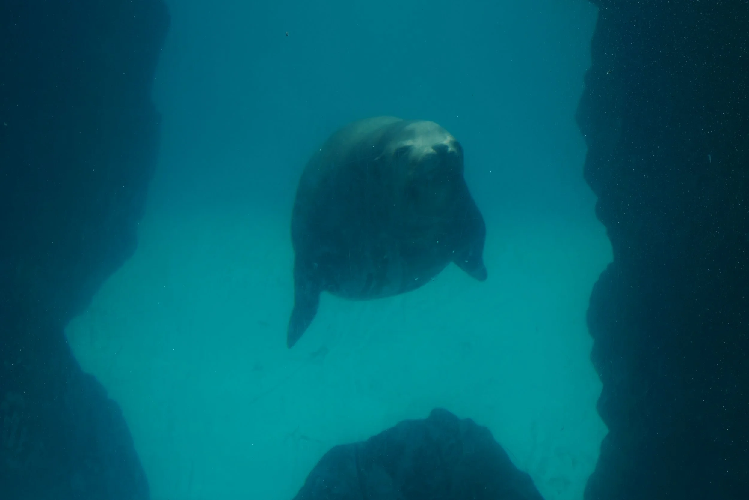 LIA 6:23:2024-04.JPG