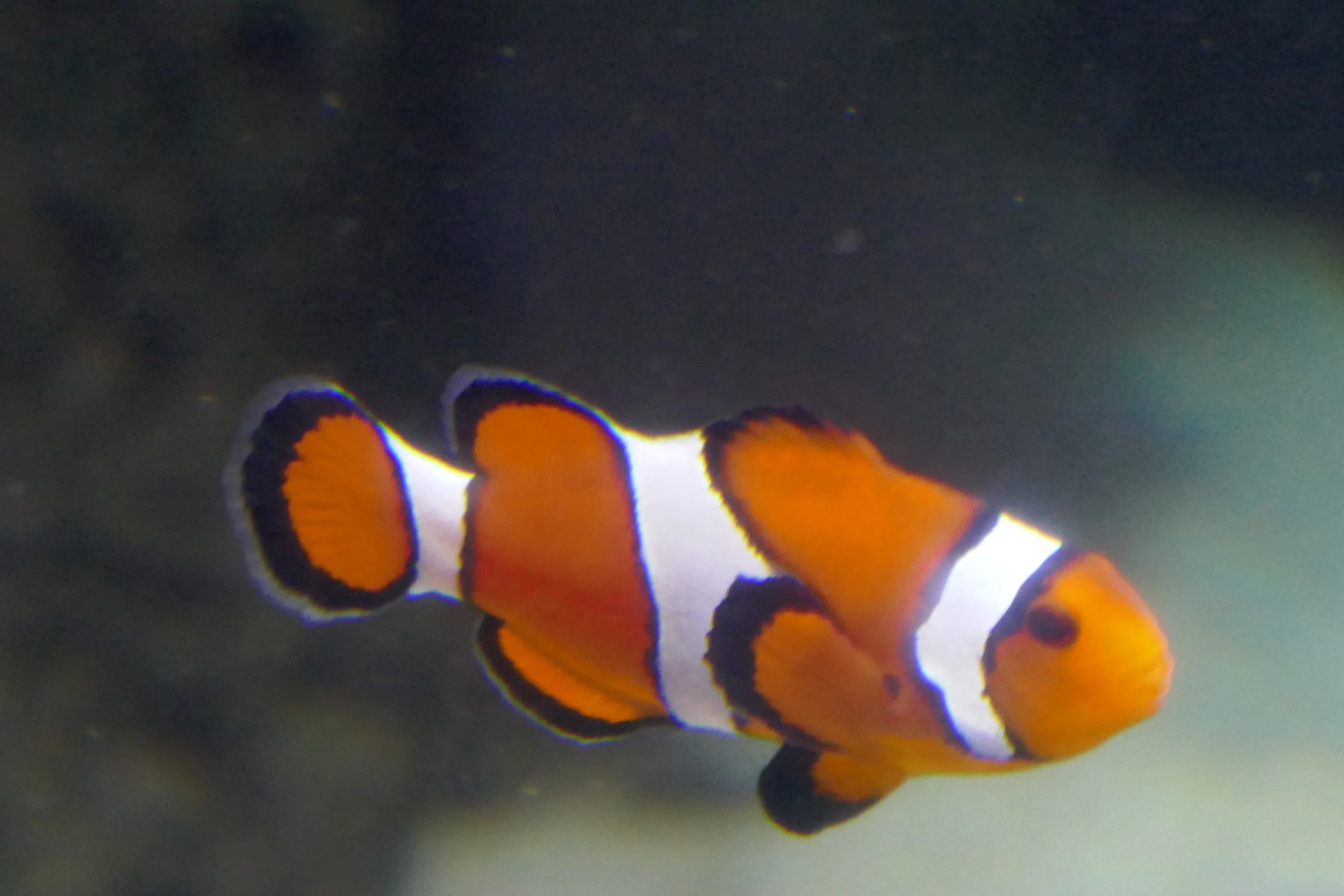 LIA 6:23:2024-05.JPG