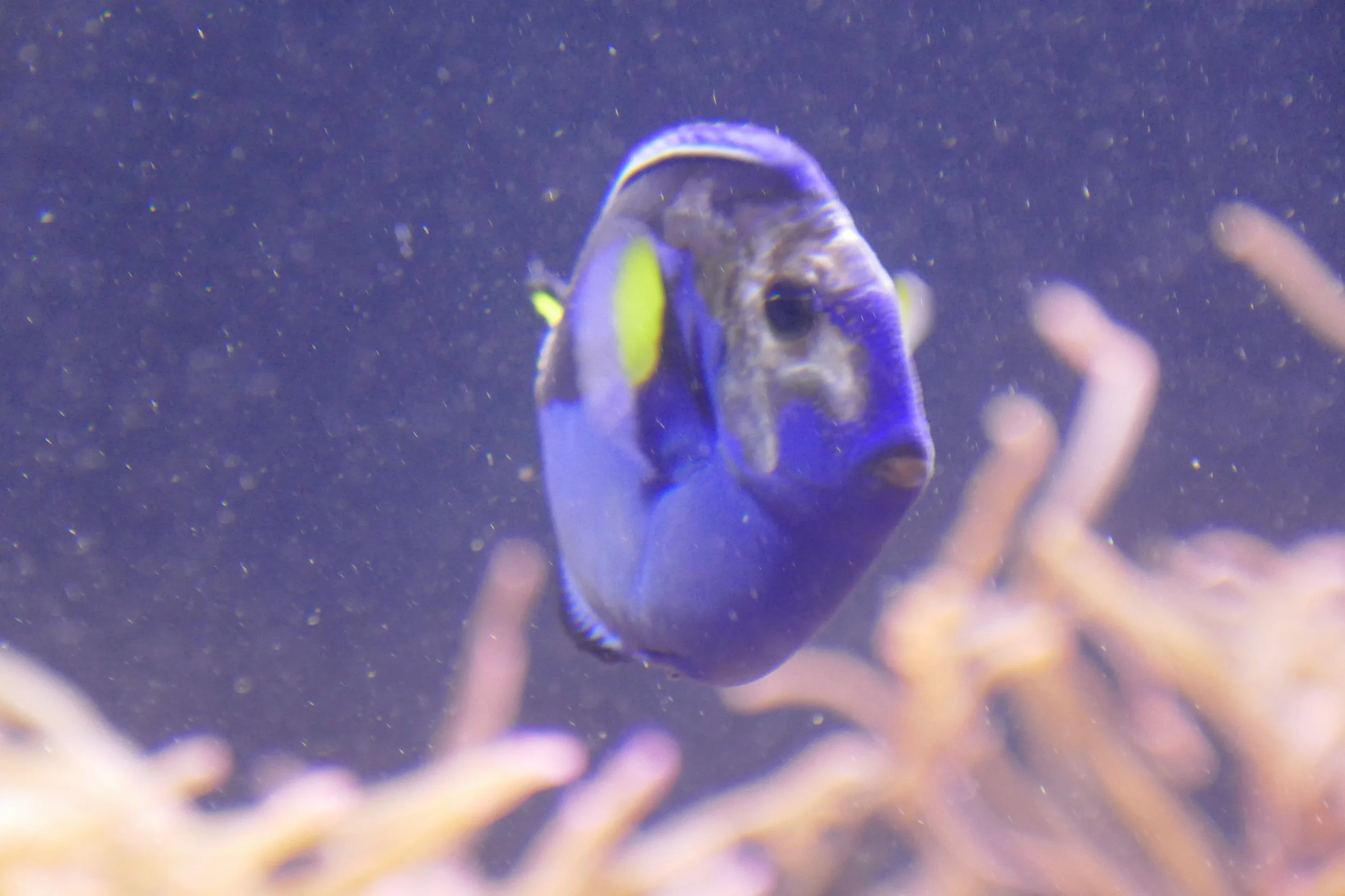 LIA 6:23:2024-06.JPG