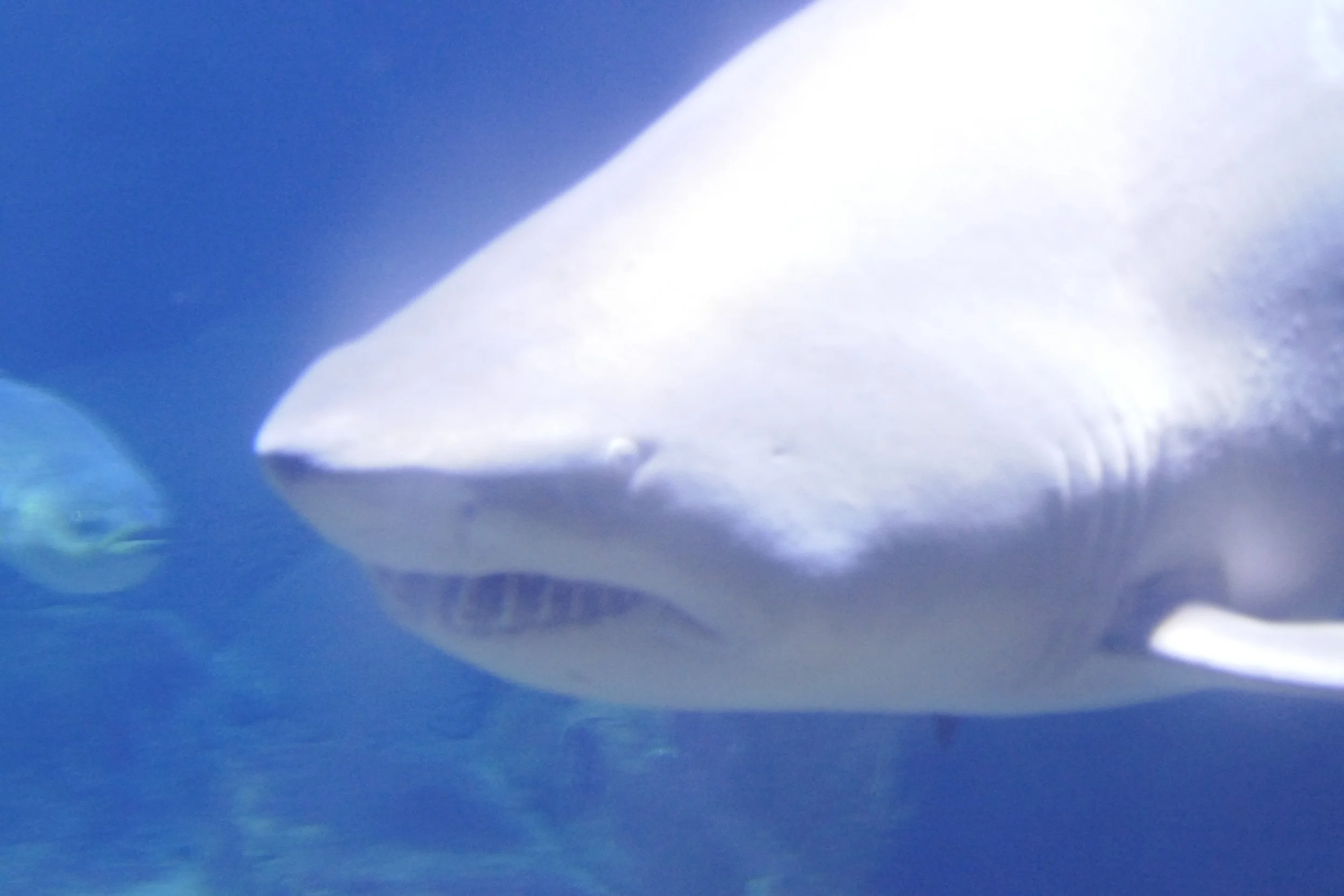 LIA 6:23:2024-07.JPG