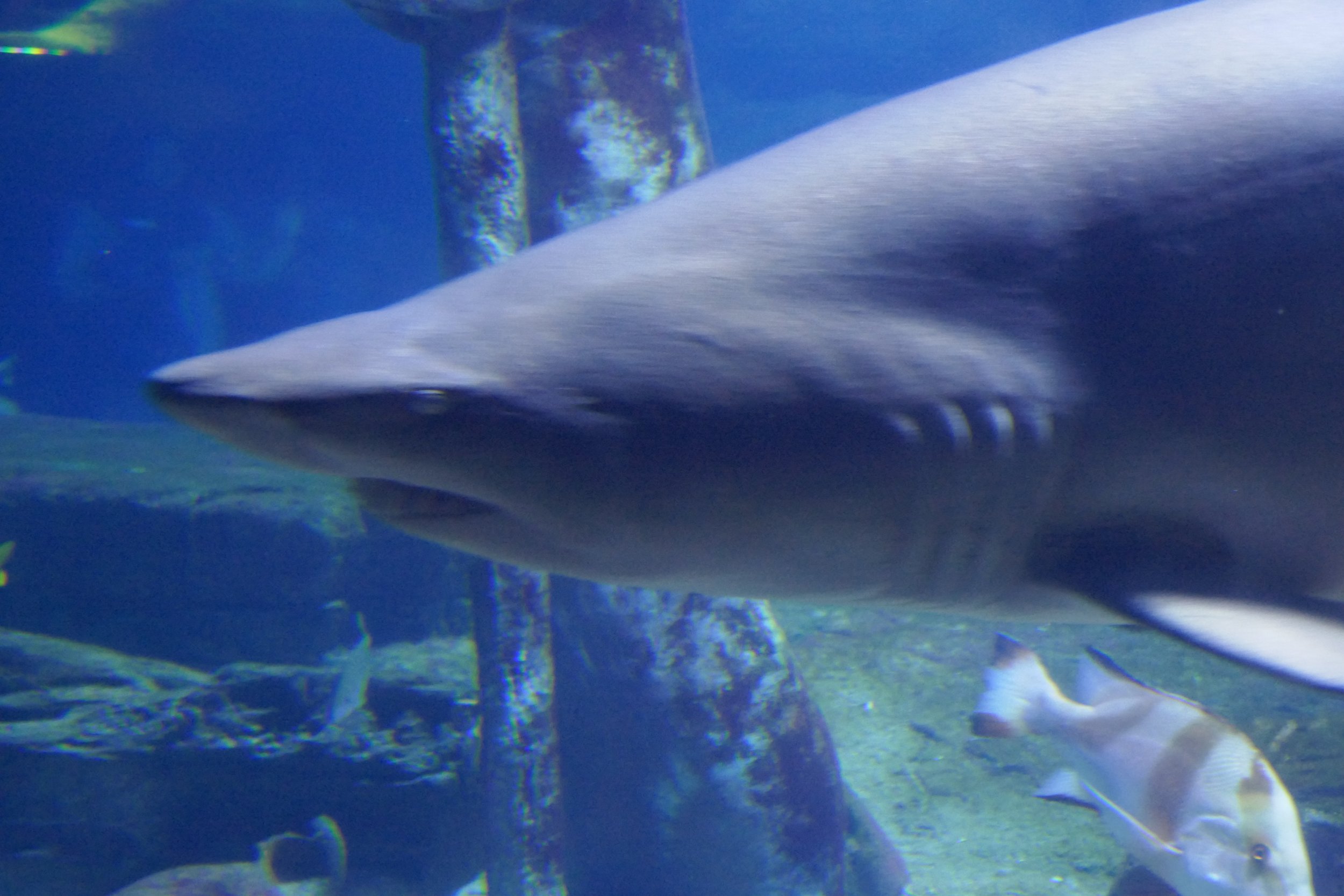 LIA 6:23:2024-08.JPG