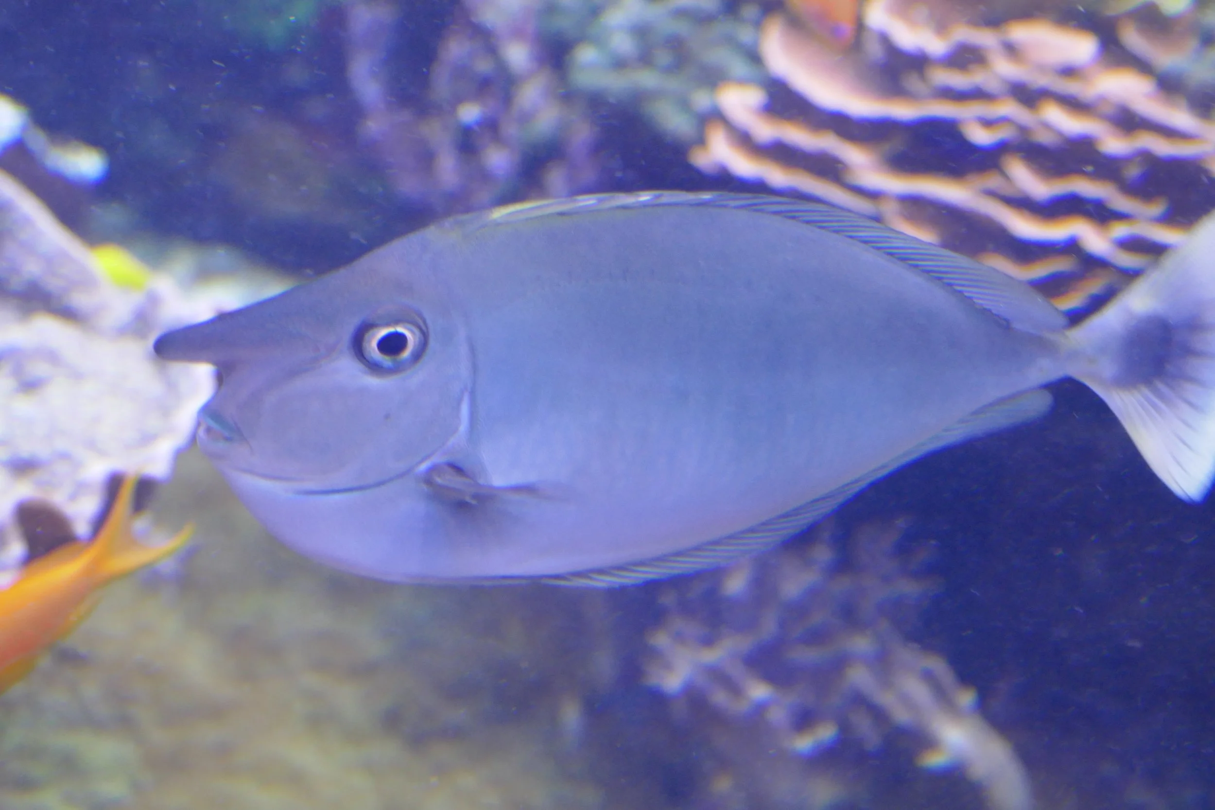 LIA 6:23:2024-10.JPG