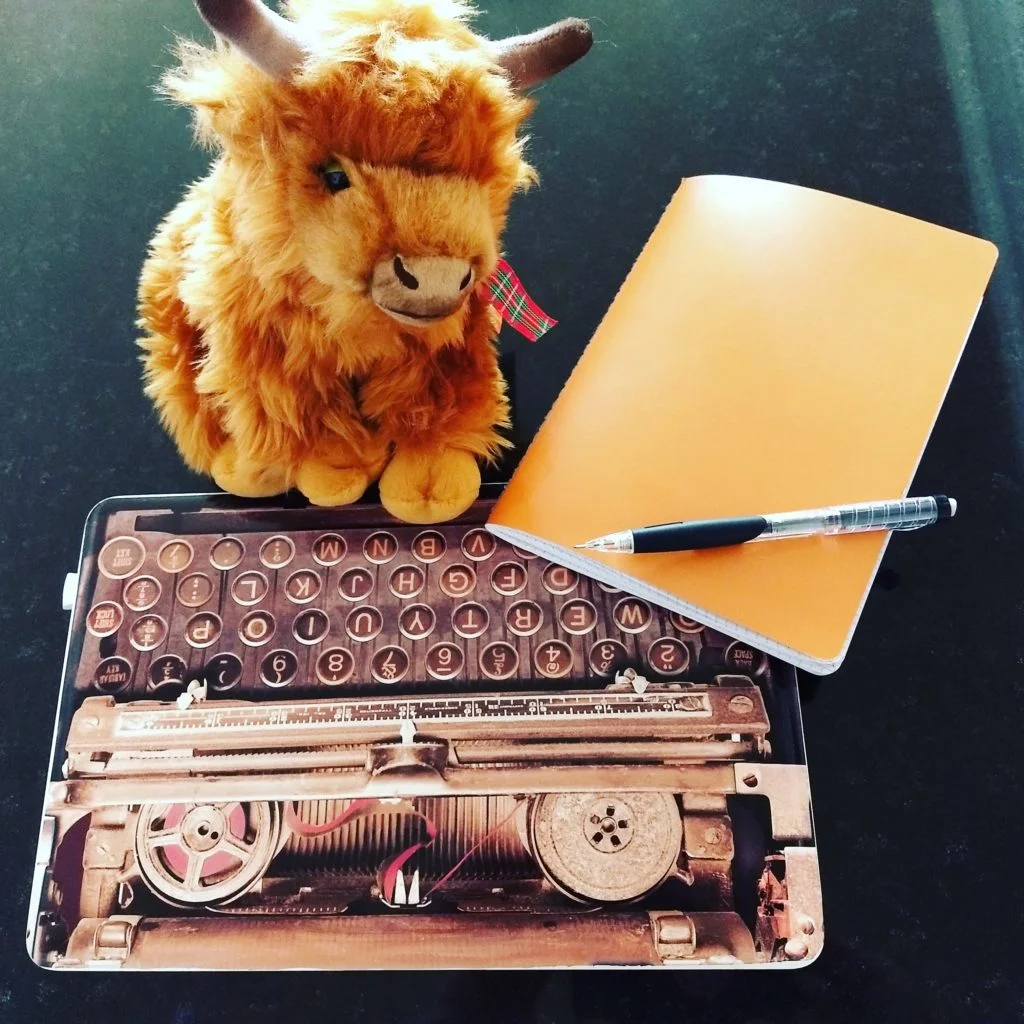 Dori the gargoyle didn’t hide out in my bag on this trip, but Hamish the Highland Cow (COO) followed me home one day, and was a great writing helper.