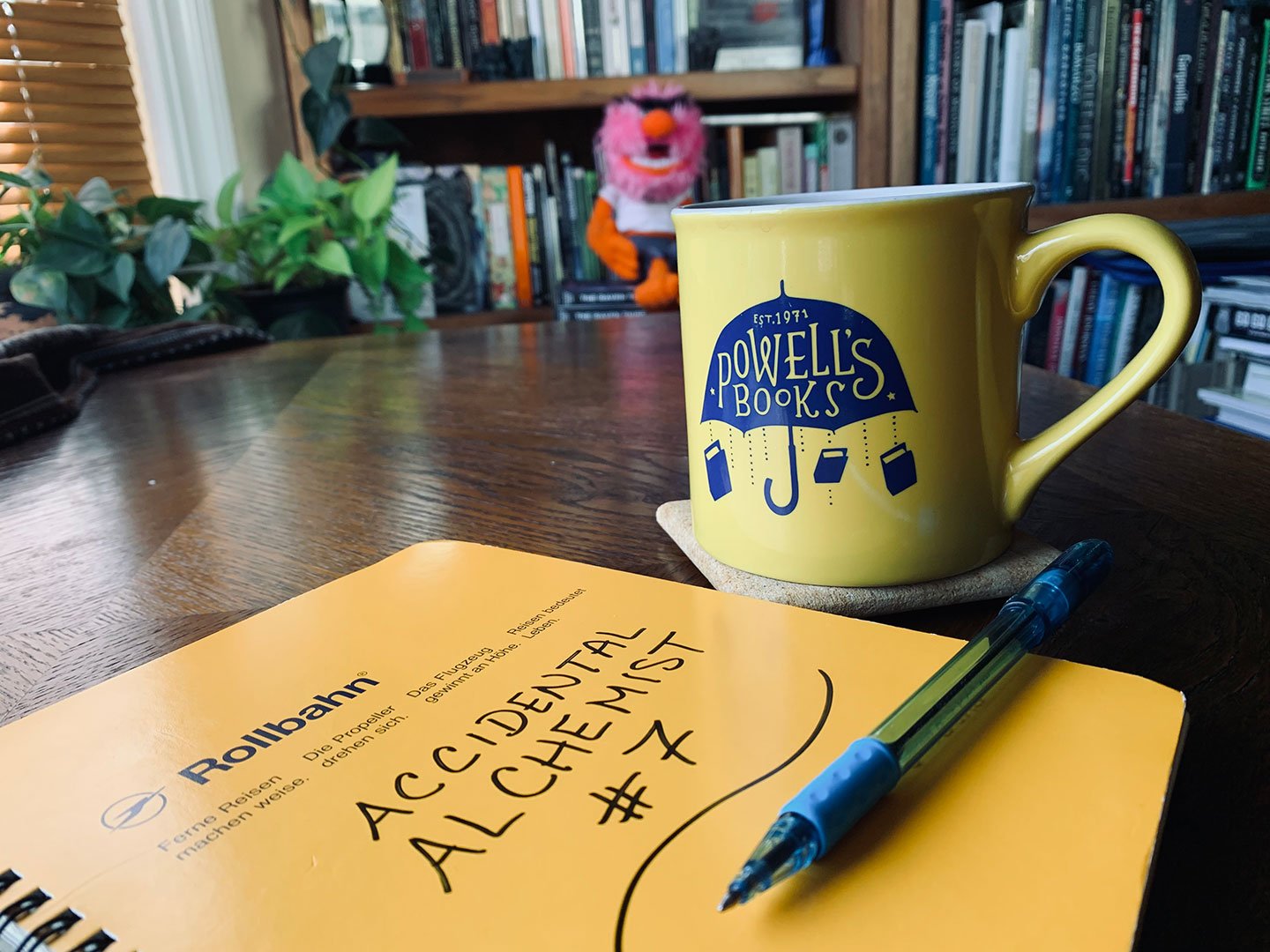 National Novel Writing Month Working on the next Accidental Alchemist