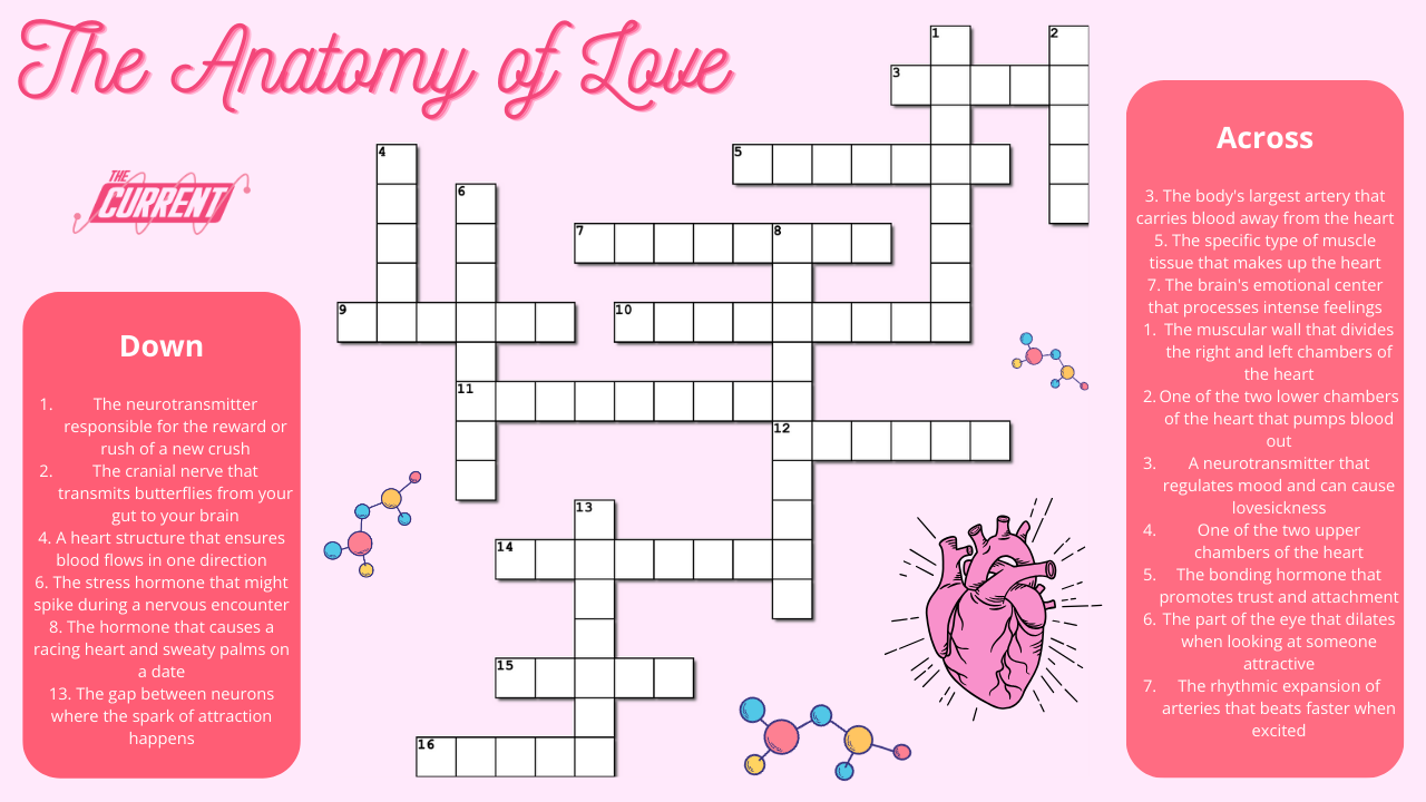 The Anatomy of Love - feb crossword.png