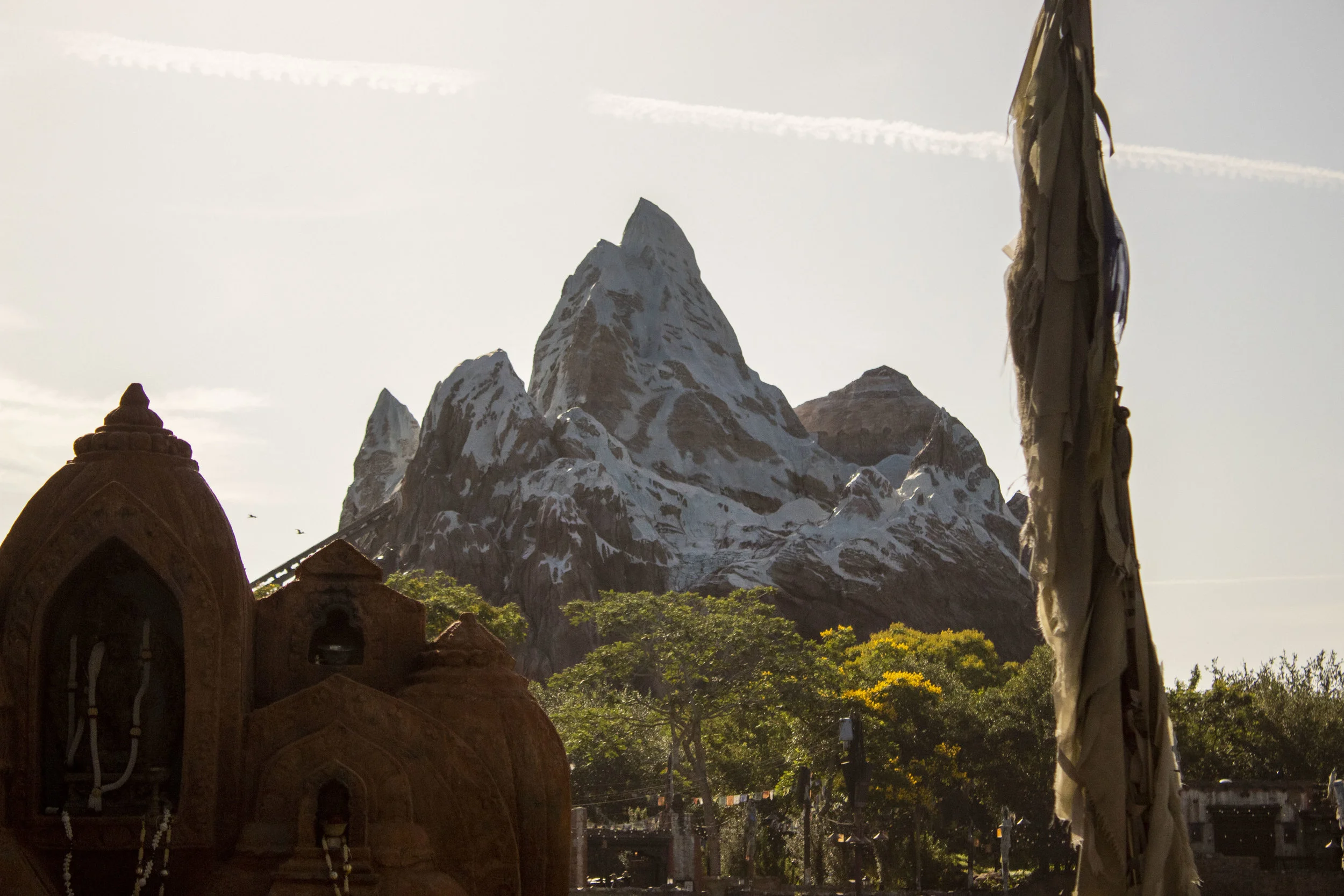 Florida Vacation Day 4: Animal Kingdom 