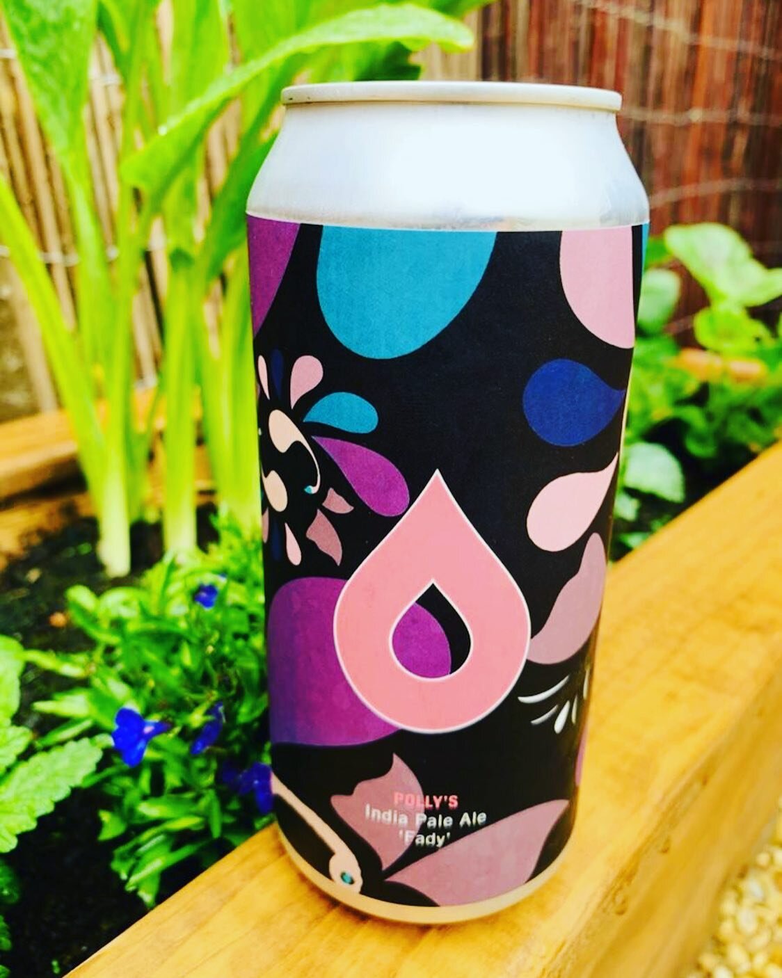 Fresh new beer in the fridge @wildkitebottleshop 

Polly&rsquo;s Brew &ldquo;Fady&rdquo; IPA 6.5 %, with Chinook, Citra, Ekuanot and Mosaic hops.

Another cracker from the awesome @pollysbrewco