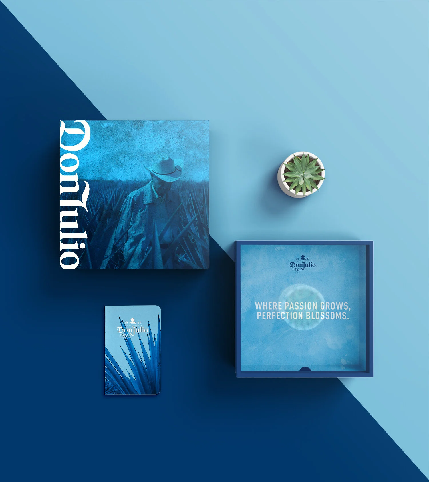 DJU010421_F20_Don Julio_OND_BabyAgaveKit.jpg