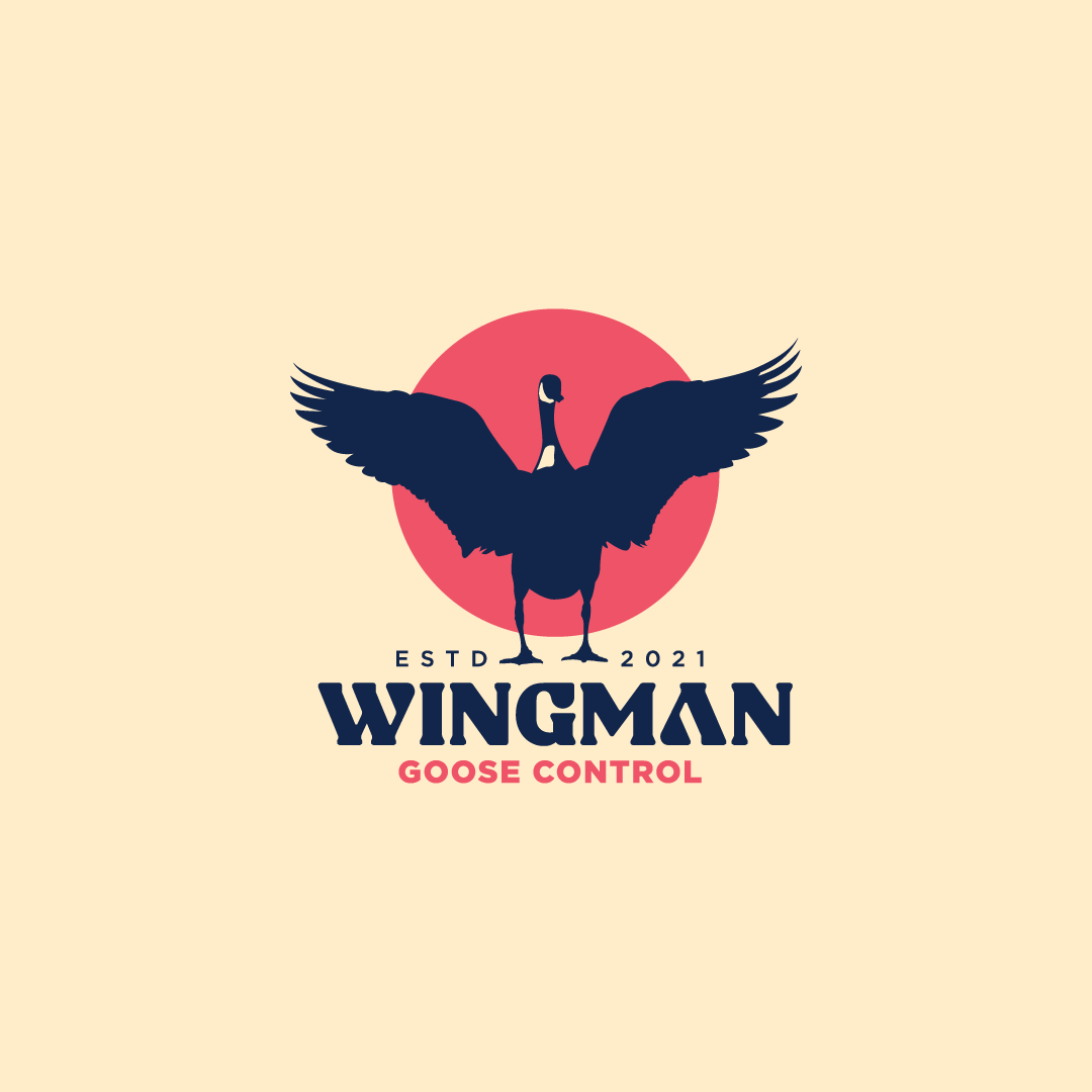 Wingman Goose Control