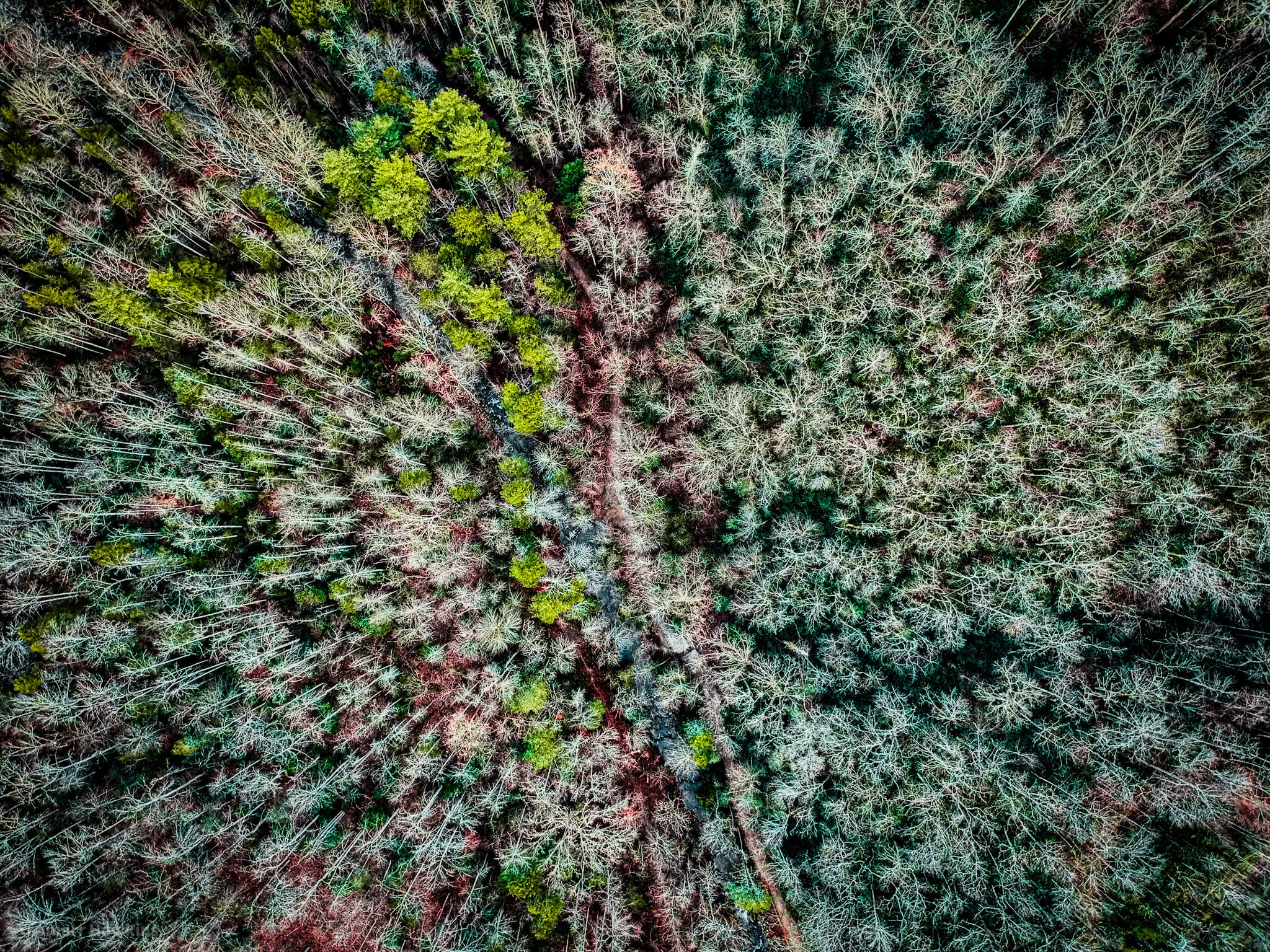 DJI_0657-HDR.jpeg
