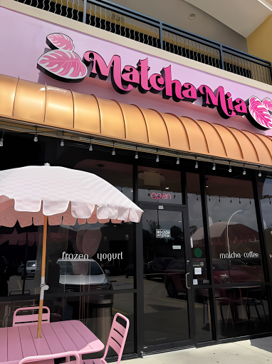 Best Places to Get Matcha in Houston- Updated June 2024 — Pretty Extra