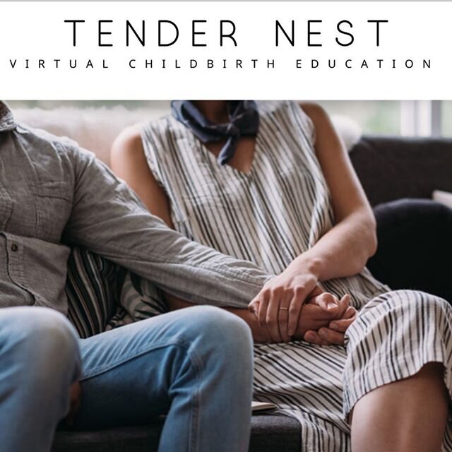 Tender Nest is my Virtual Childbirth Education offering.

It is a class about how a baby is born... and it&rsquo;s also about how a parent and family are born.

It&rsquo;s a class that provides space to be curious about this life stage. A space to gr