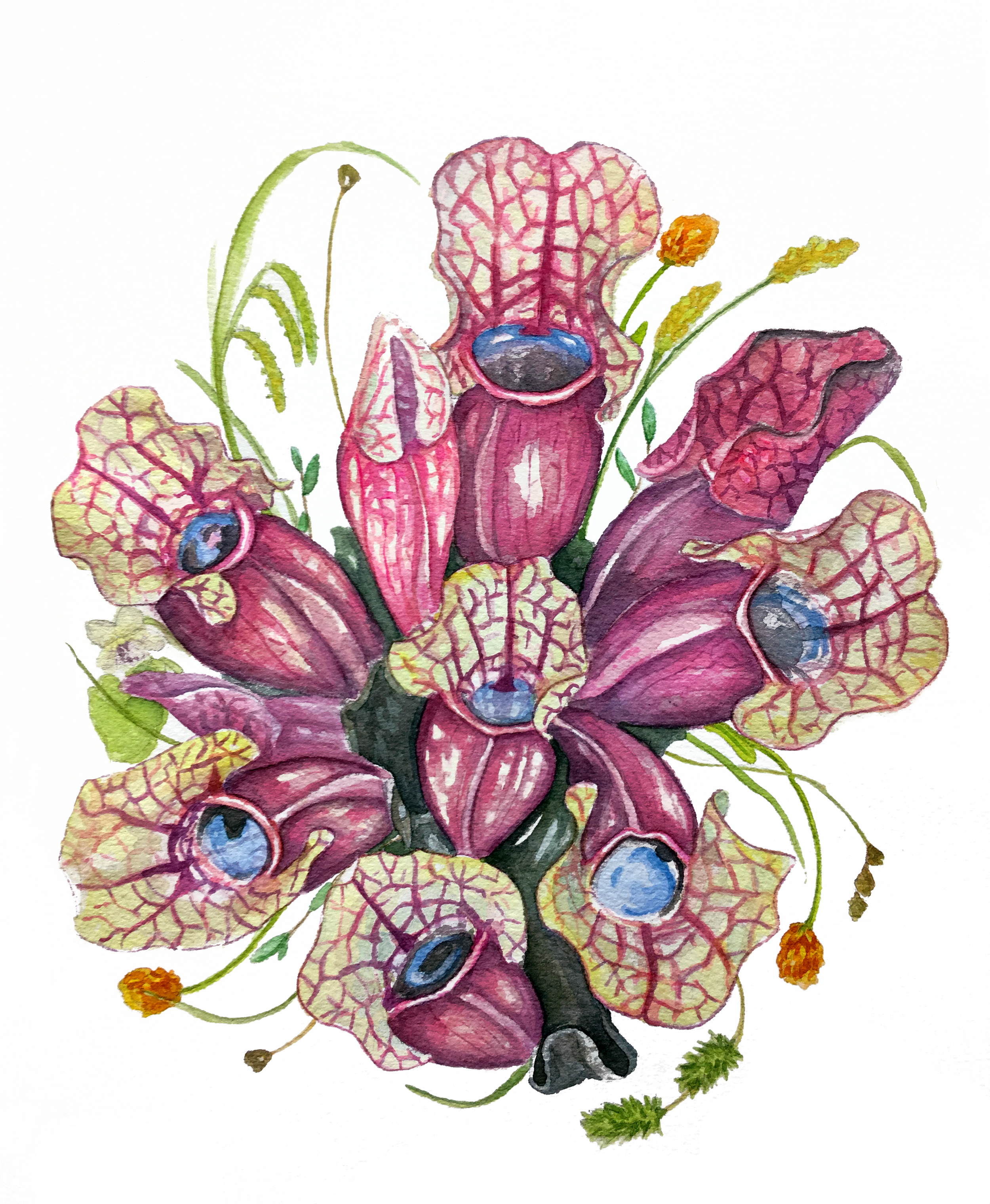purptattnal-white bacckgrounds.png