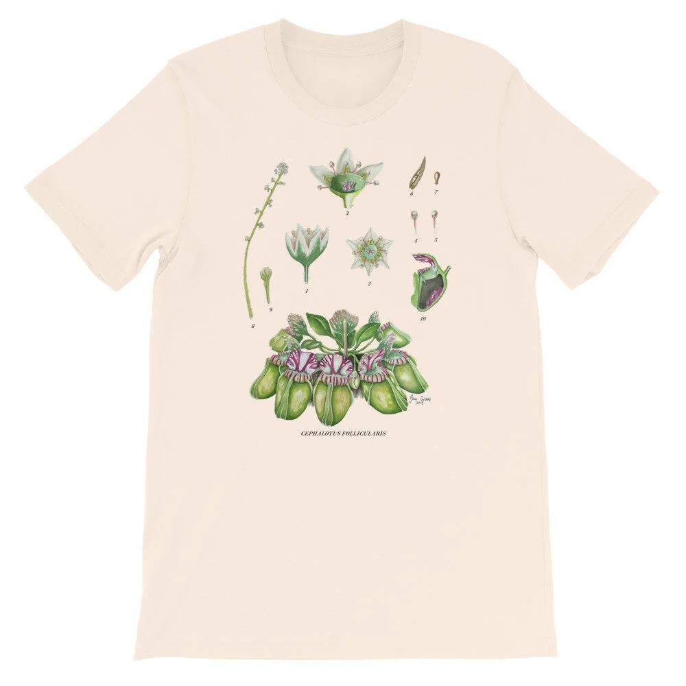 mockup-87b6f337.jpg