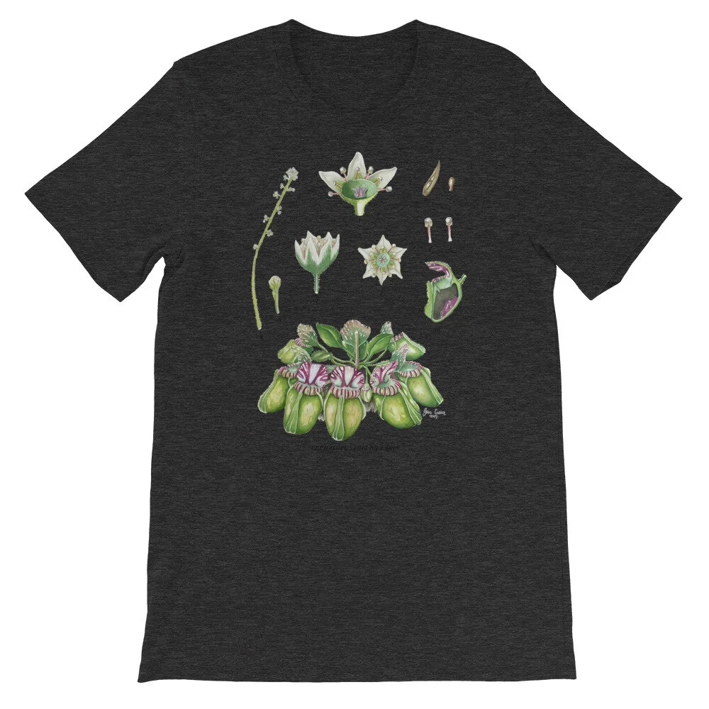 mockup-80cf98fa.jpg