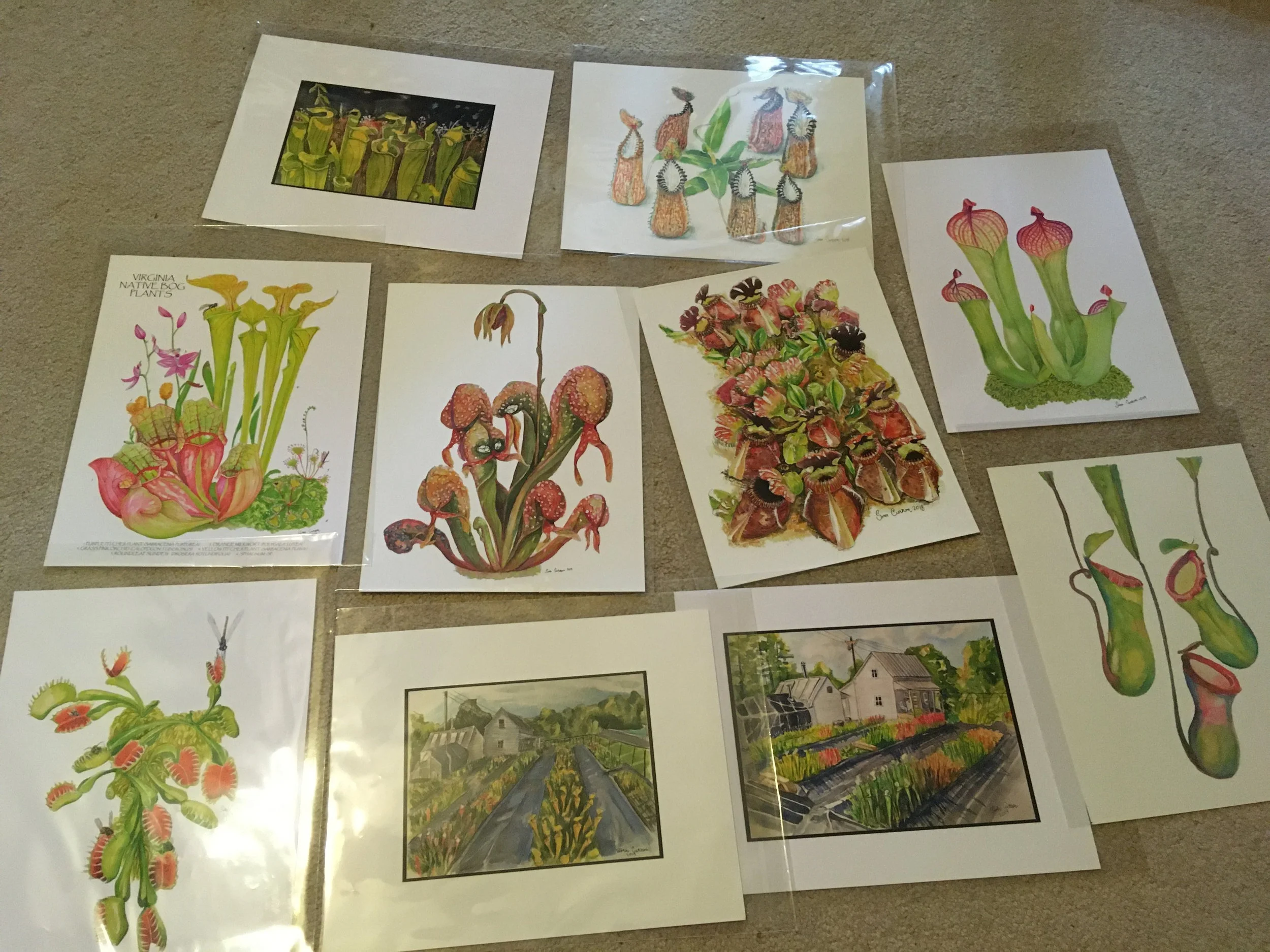 New Prints available 11x14in and 8,5x11in