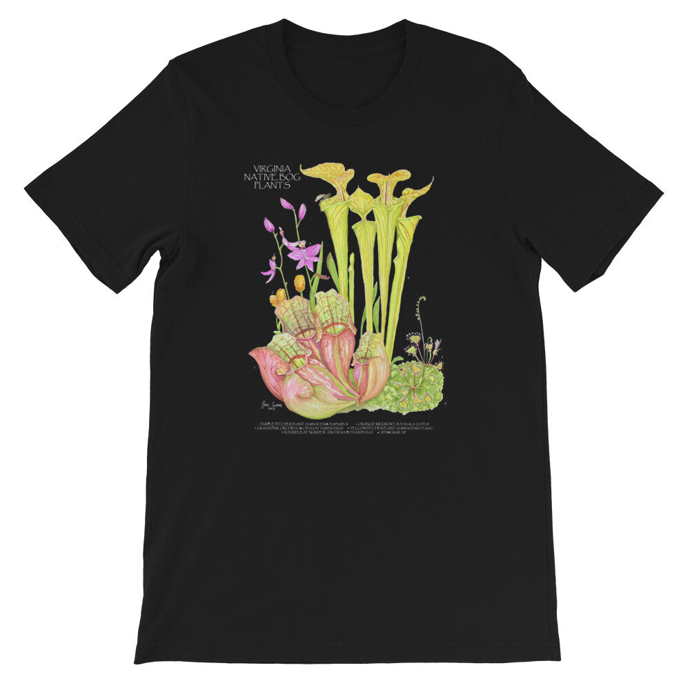 mockup-0546f71e.jpg