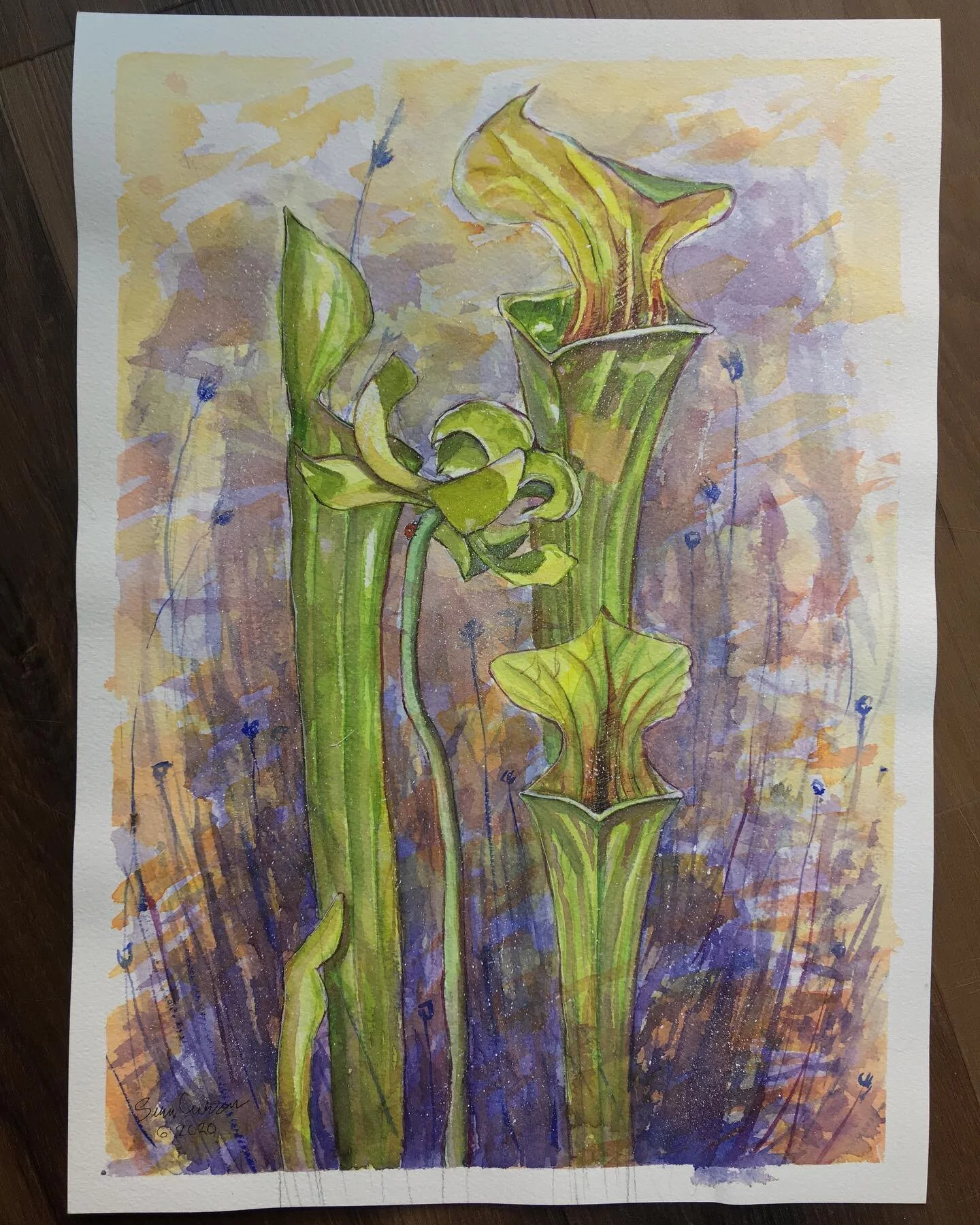 &rdquo;Pitcher Dust&rdquo;
Size: 10in x 14in
Media: Graphite, watercolors, white ink. 
Description: I used pur own plant as a reference. Drawn live while sitting outside. The background wasn&rsquo;t planned in the beginning but eventually I wanted to