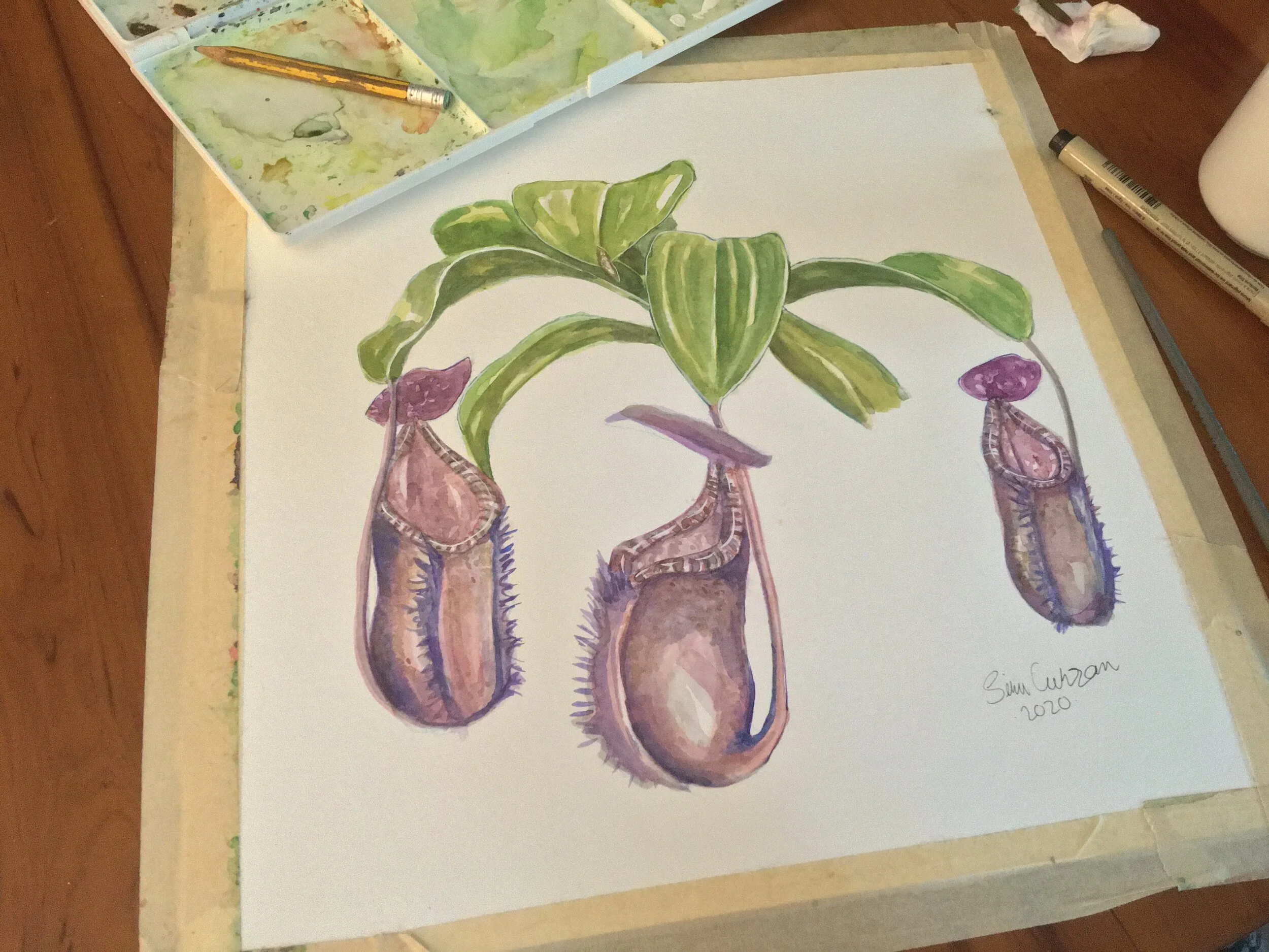 Original Art and Print for Sale