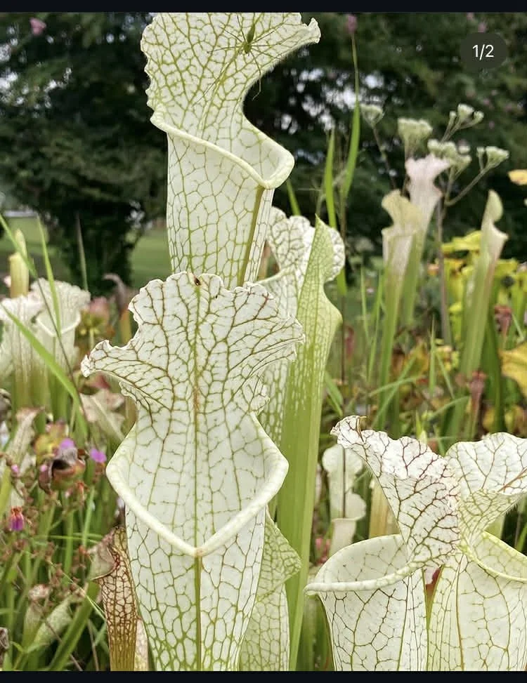 d5e6328a-6c5c-4152-bf2e-74bc2975988c.jfif