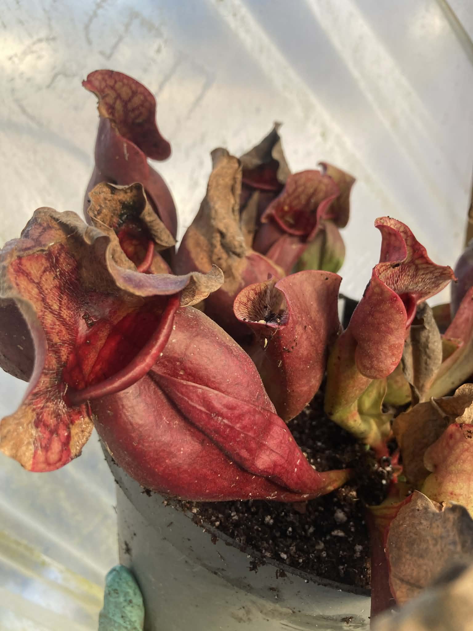 eaca1cc0-73e9-4d14-a6db-fbb4bba18319.jfif