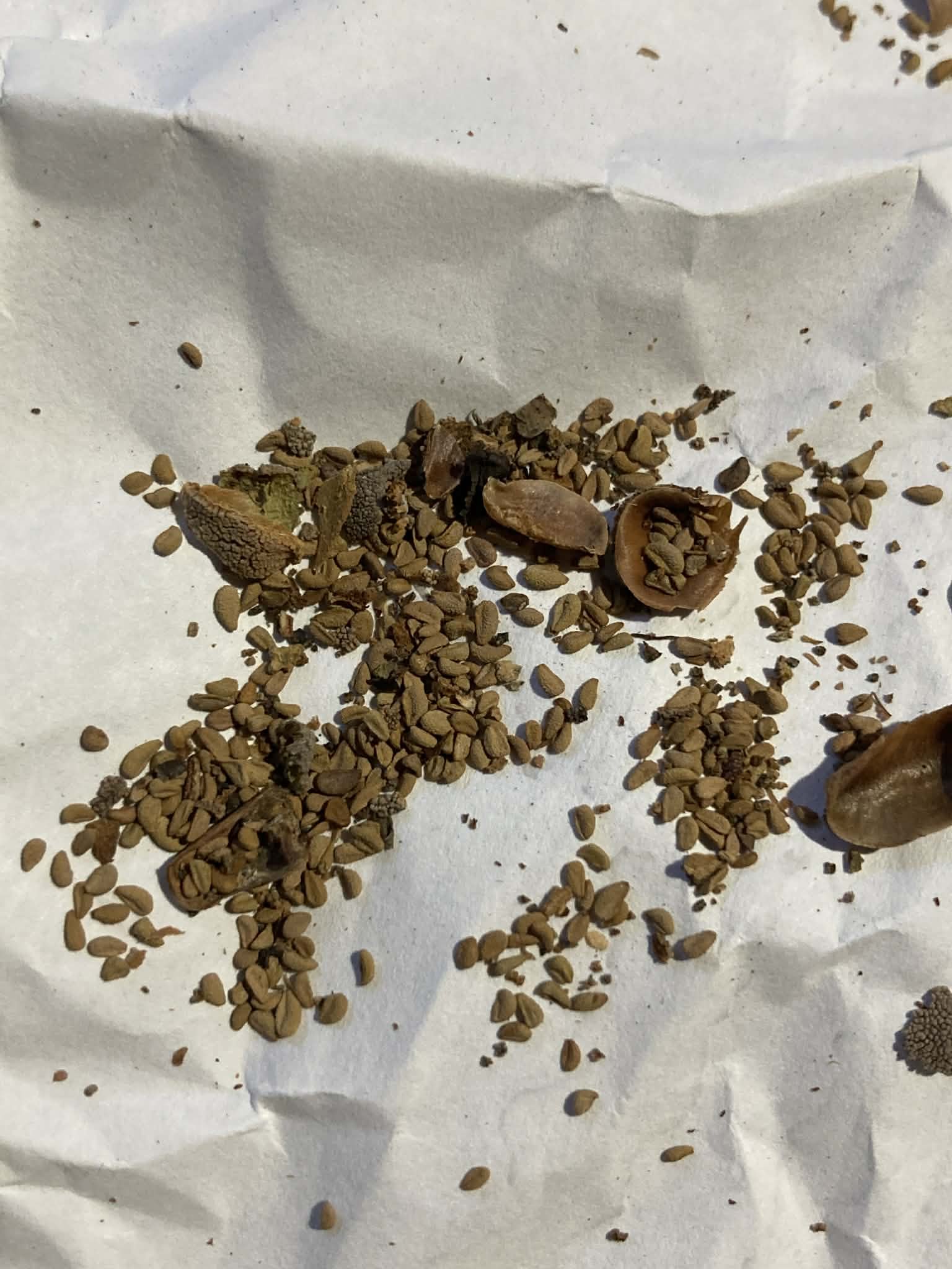 24afb0e5-10b9-4fd9-8825-2f41b2082d92.jfif