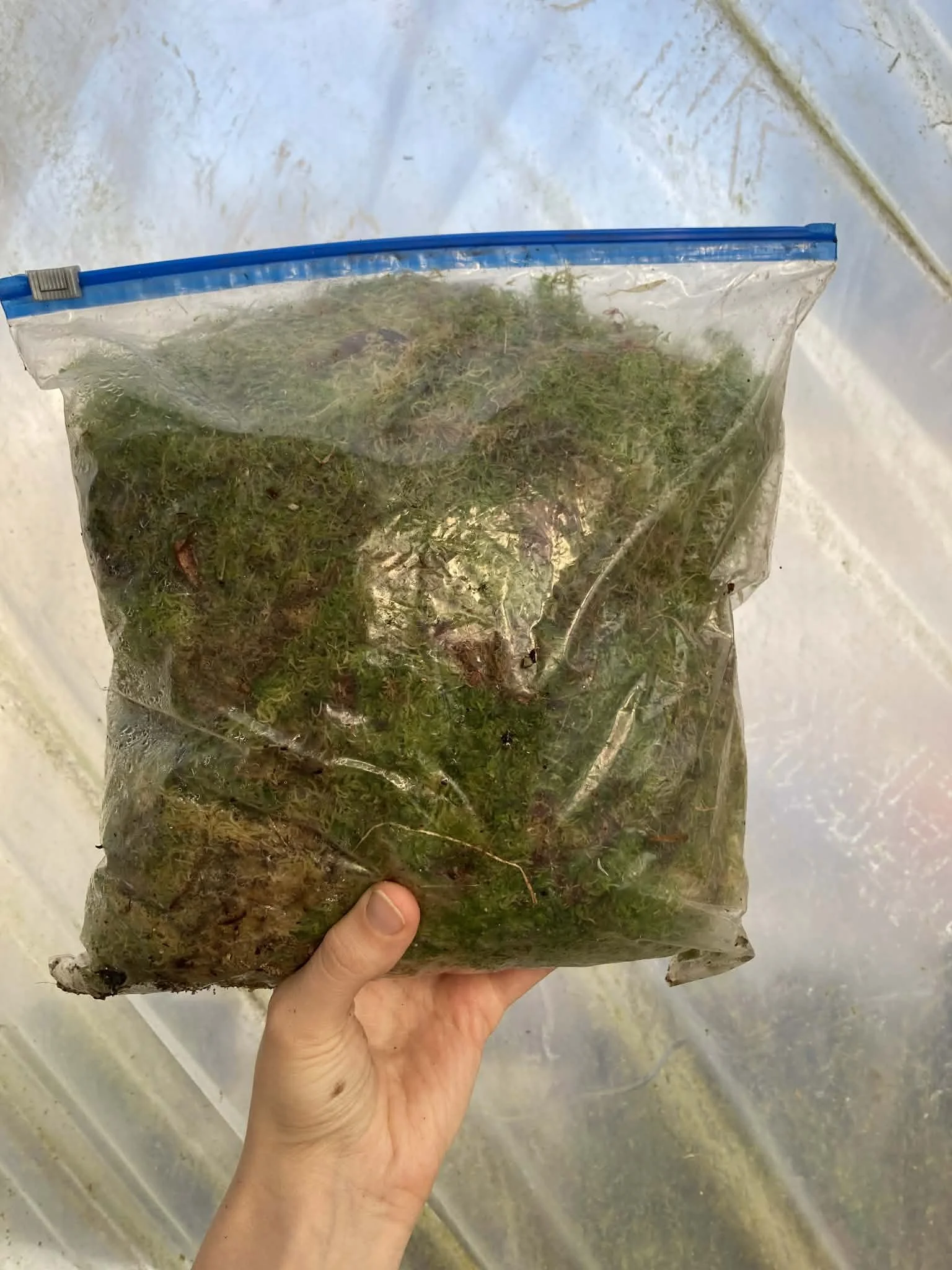 f7828961-36e8-42ce-a6da-39d707881967.jfif