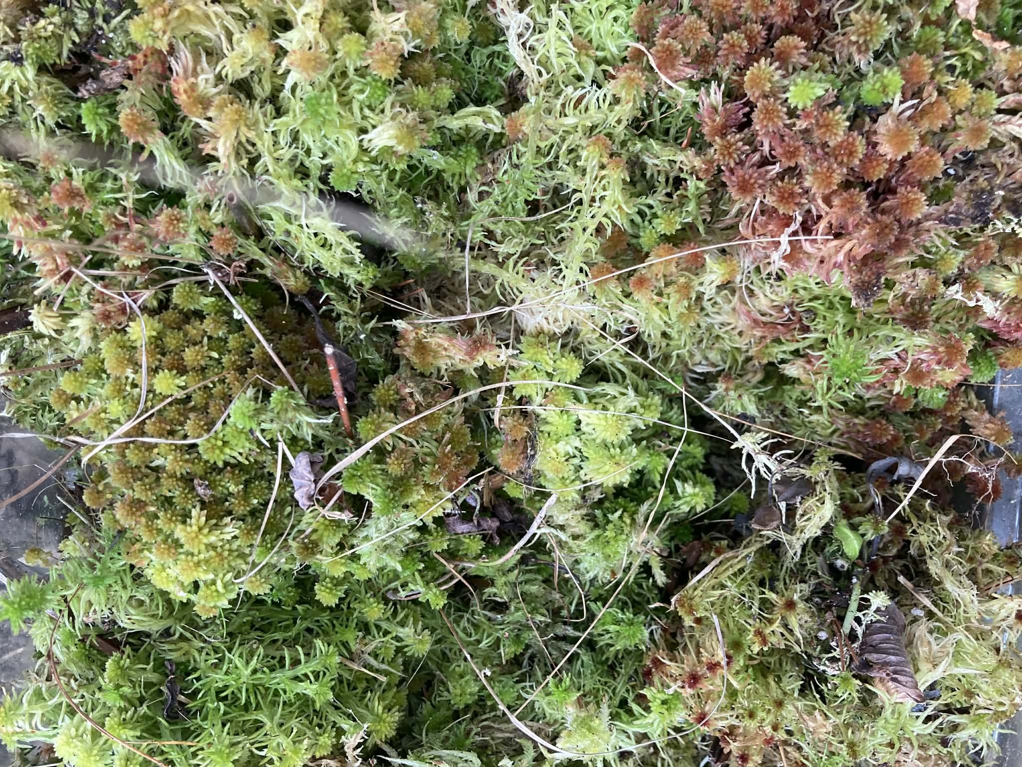 5eac93e6-74c7-404f-b60d-94007c5328ba.jfif