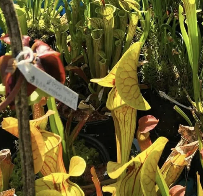 3f024201-ea15-47ab-93c0-7845eaf341a9.jfif