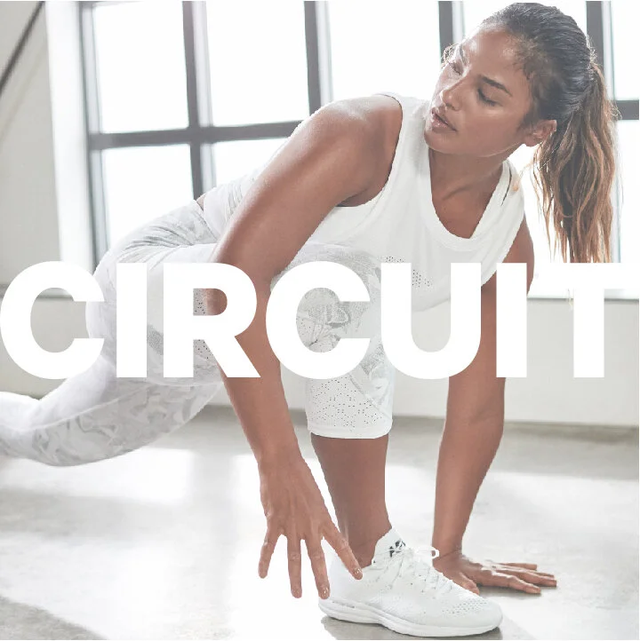 CIRCUIT.jpg