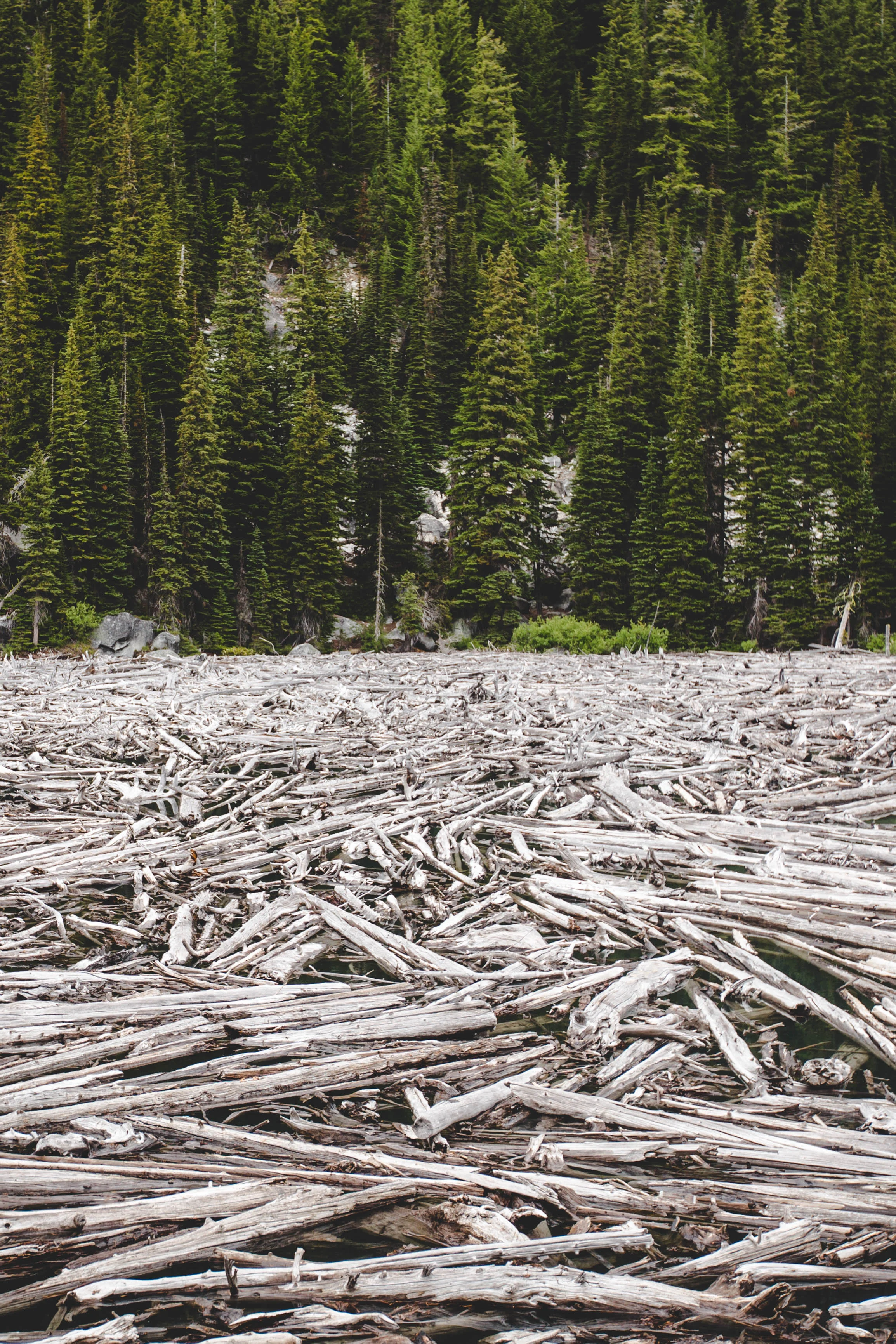 Life & Death – Enchantments, Washington