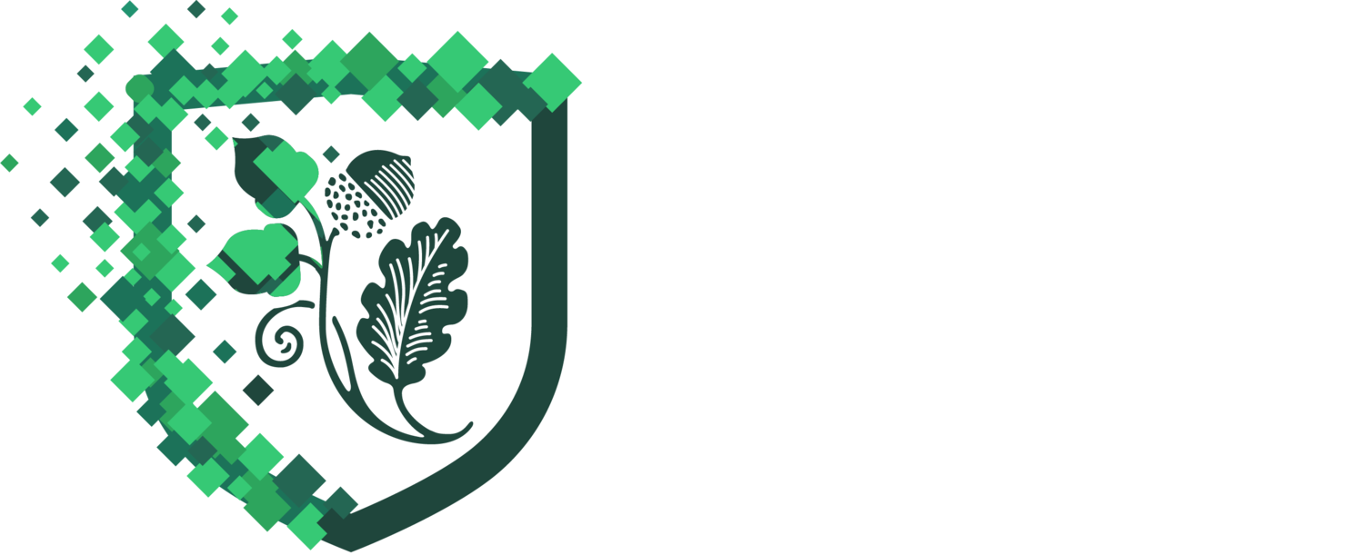 Academica eSports