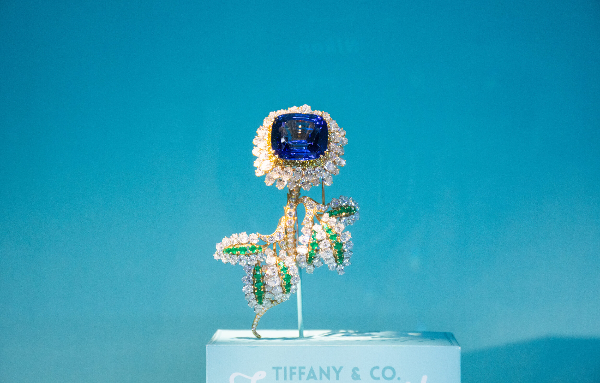191020-Tiffany-7.jpg