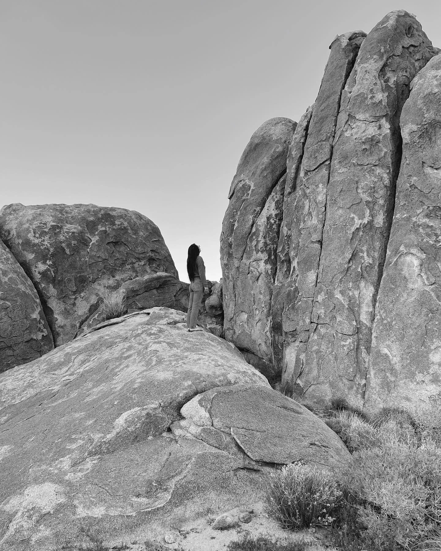 📸: Joshua Tree Desert | Alabama Hills | California

Journal Entry / March-April 2024

My library card was the first piece of plastic I ever owned that had my name on it. In the blank white space on the bottom was my signature written in black Sharpi