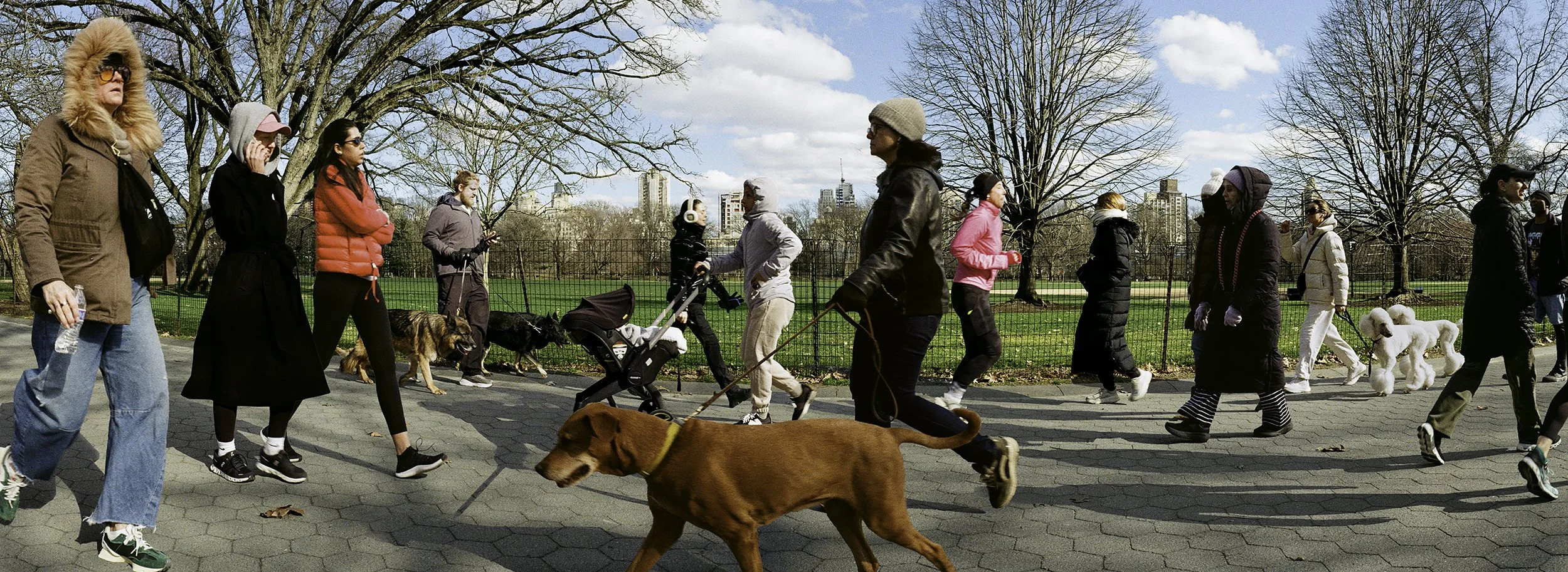 March 17 3:53PM - 4:53PM, Central Park, NYC
