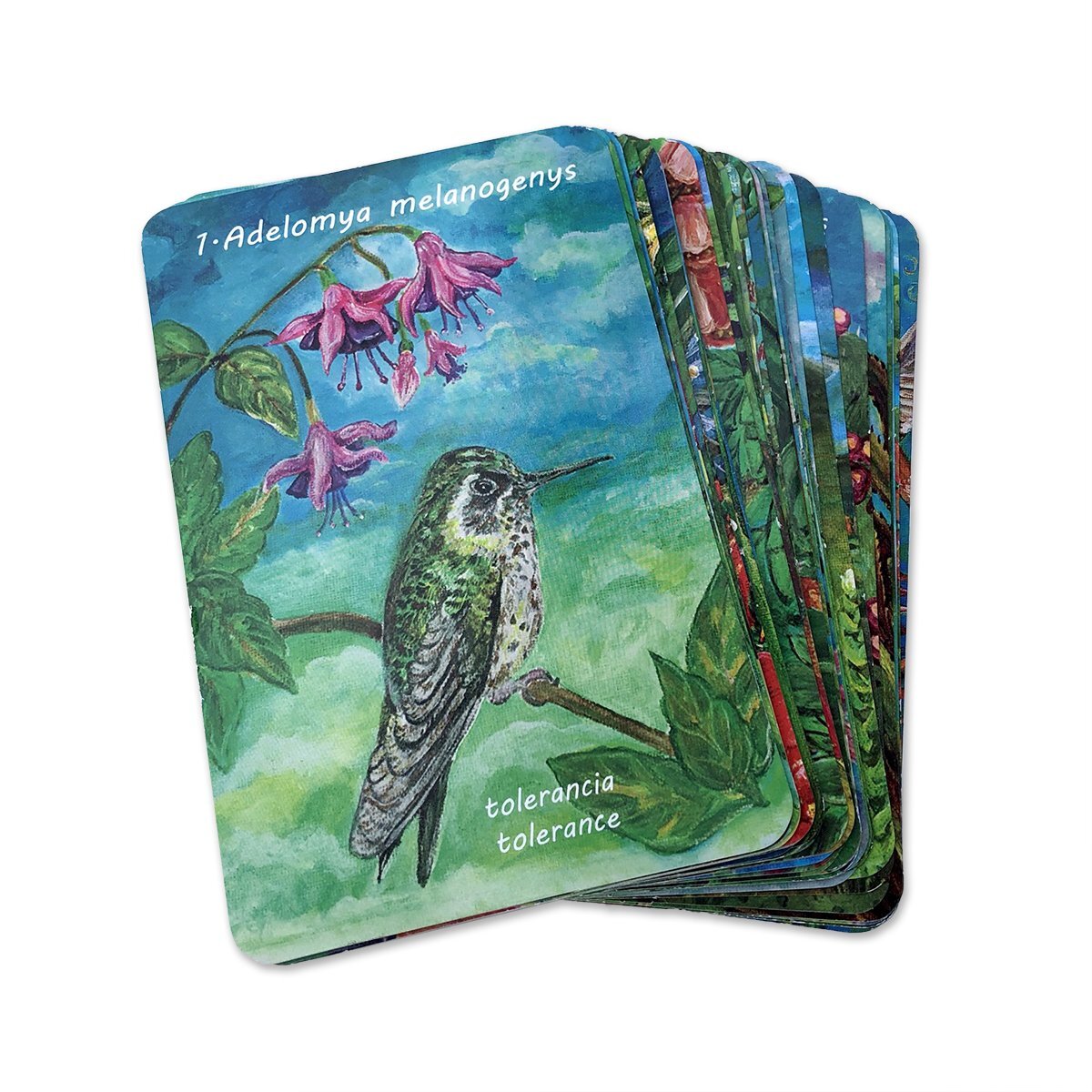 Hummingbird_Oracle_Deck_06.jpg