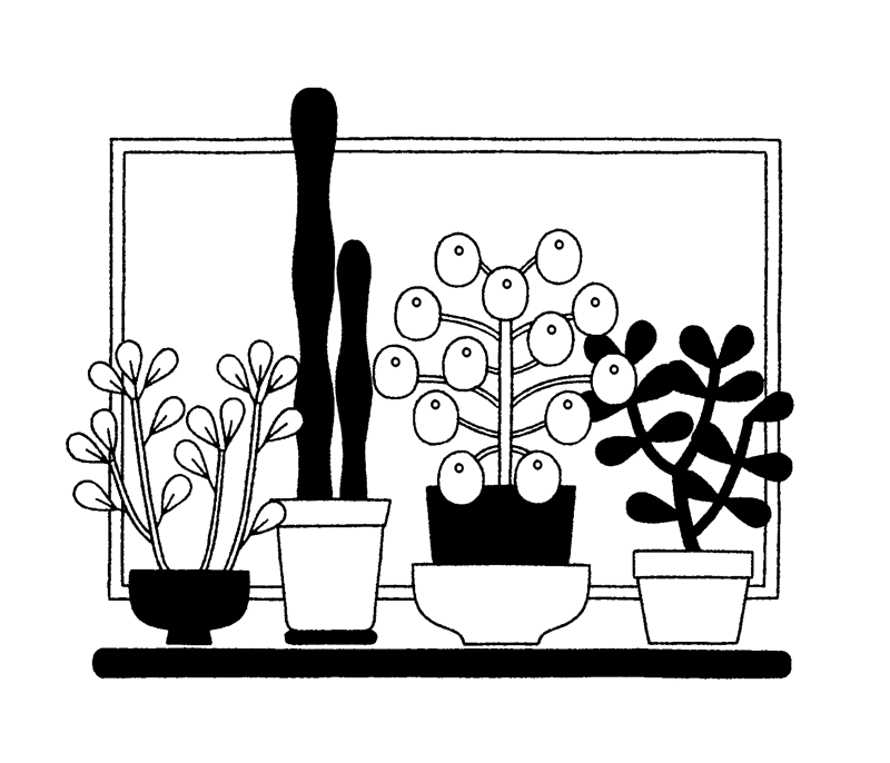 StillLife-Plants-AnkeWeckmann-800px.png
