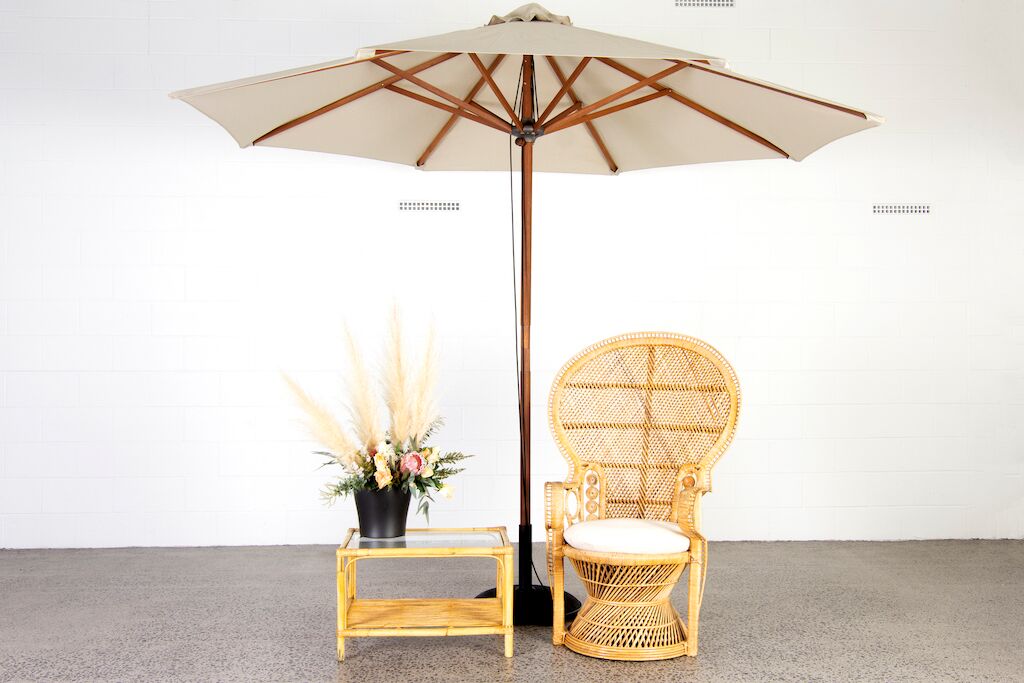 Peacock Chair