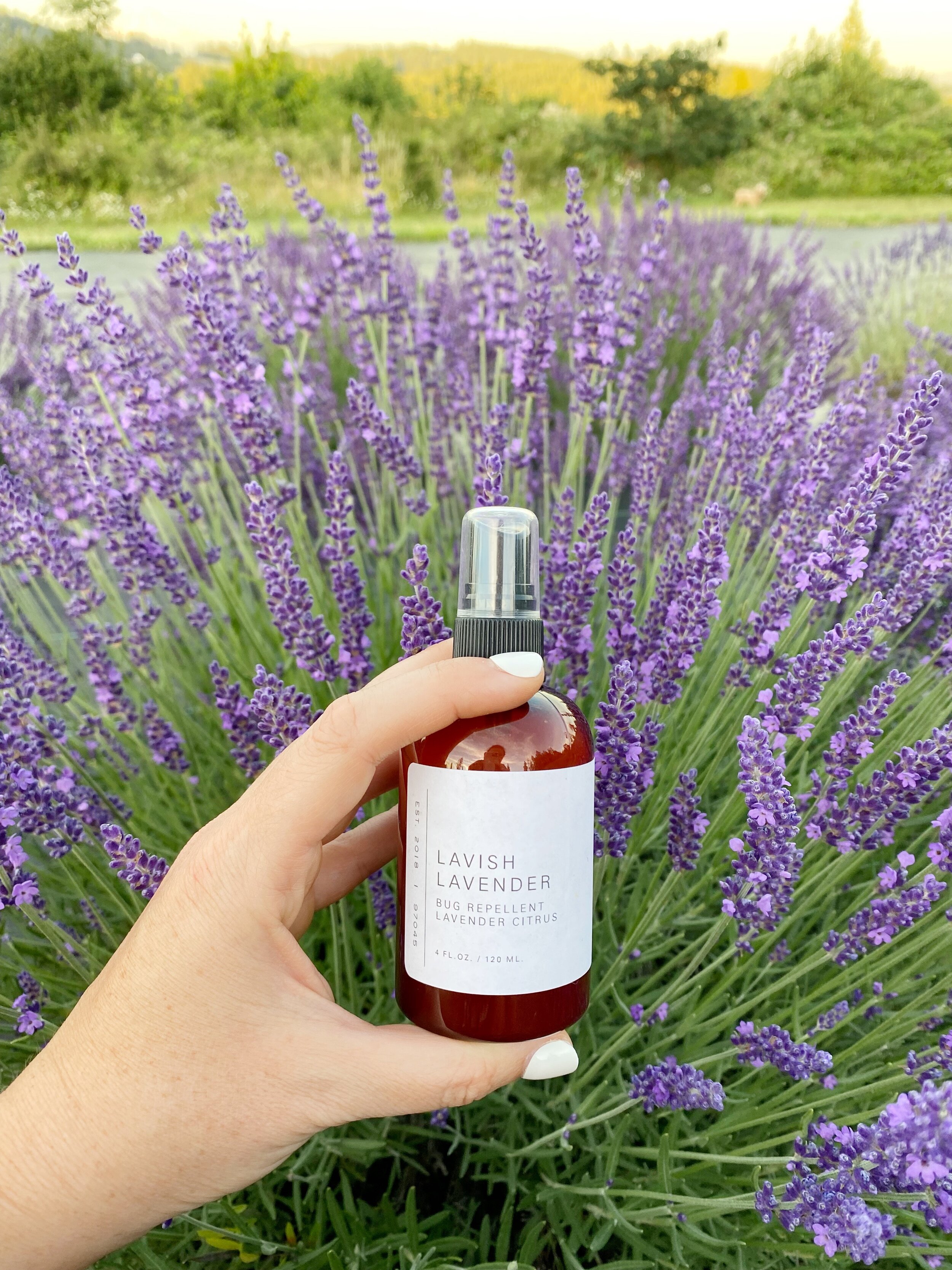Bug Repellent  Lavish Lavender