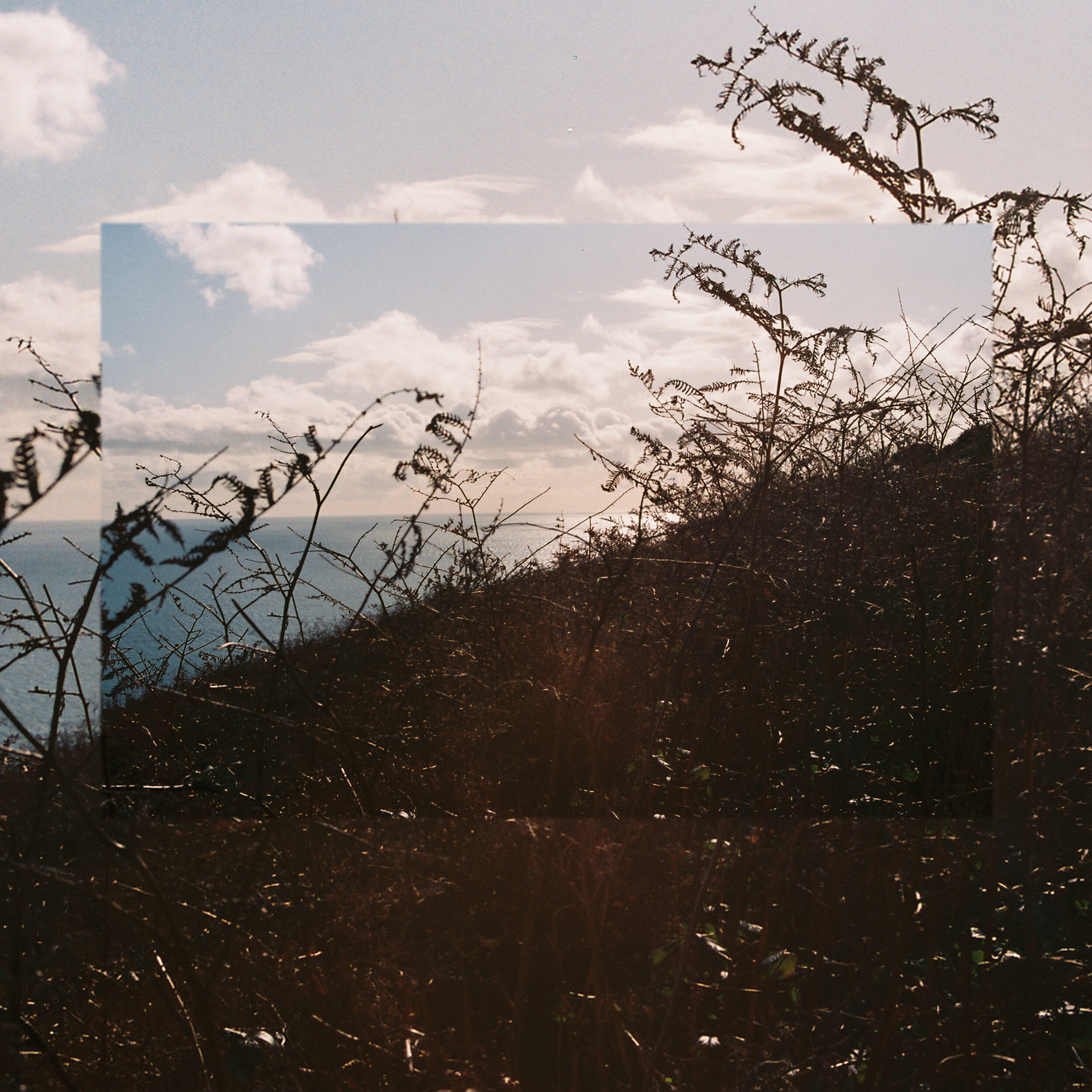Skylar and Libby - Wild Mountain Thyme - MP3