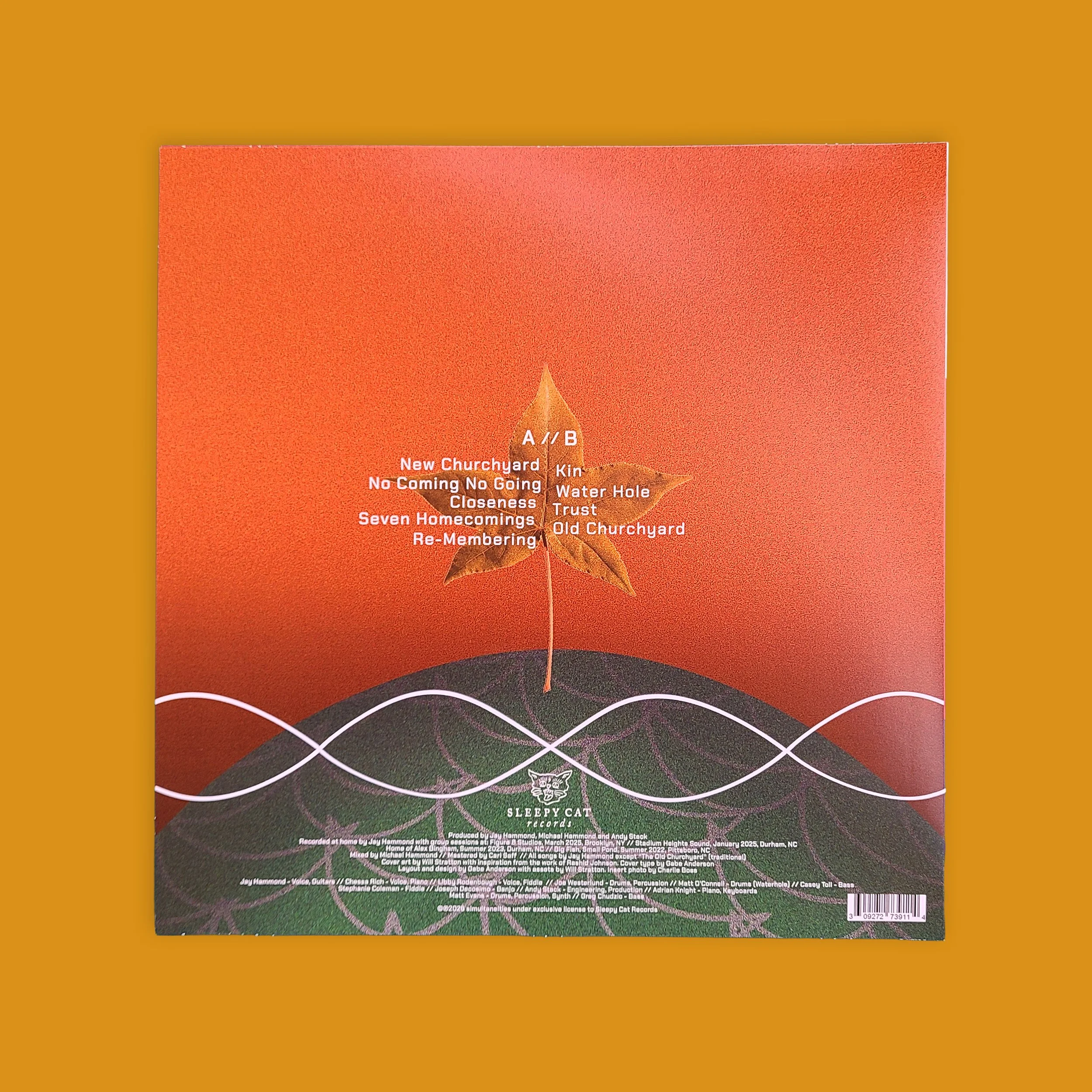 TA_TriedToDos_Vinyl_BackCover.jpg