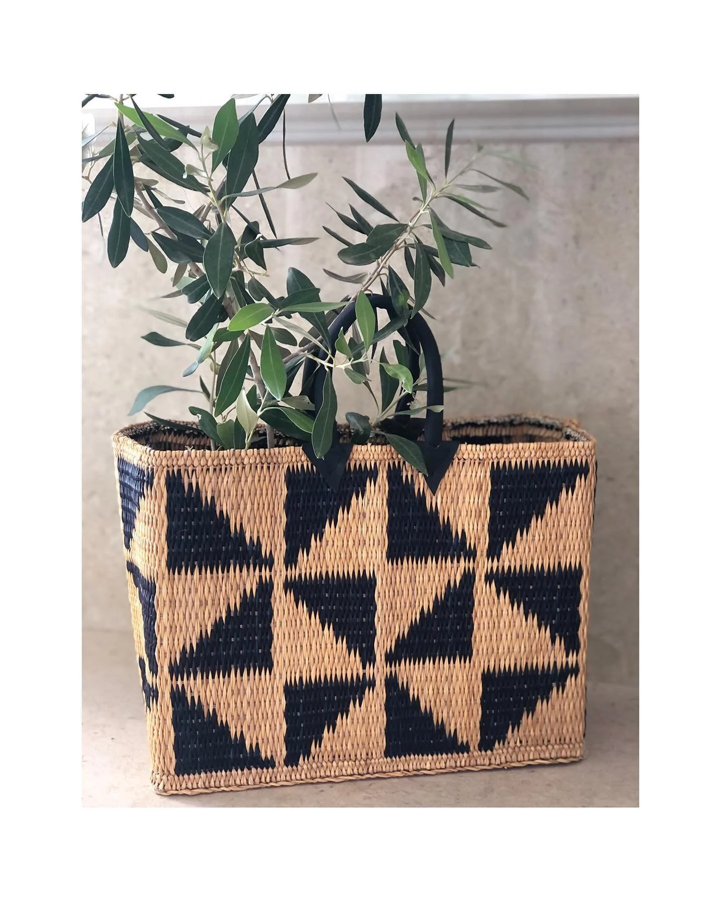 9CBBB39E-1DE5-4D2A-B6BA-A03CA26BA9B2