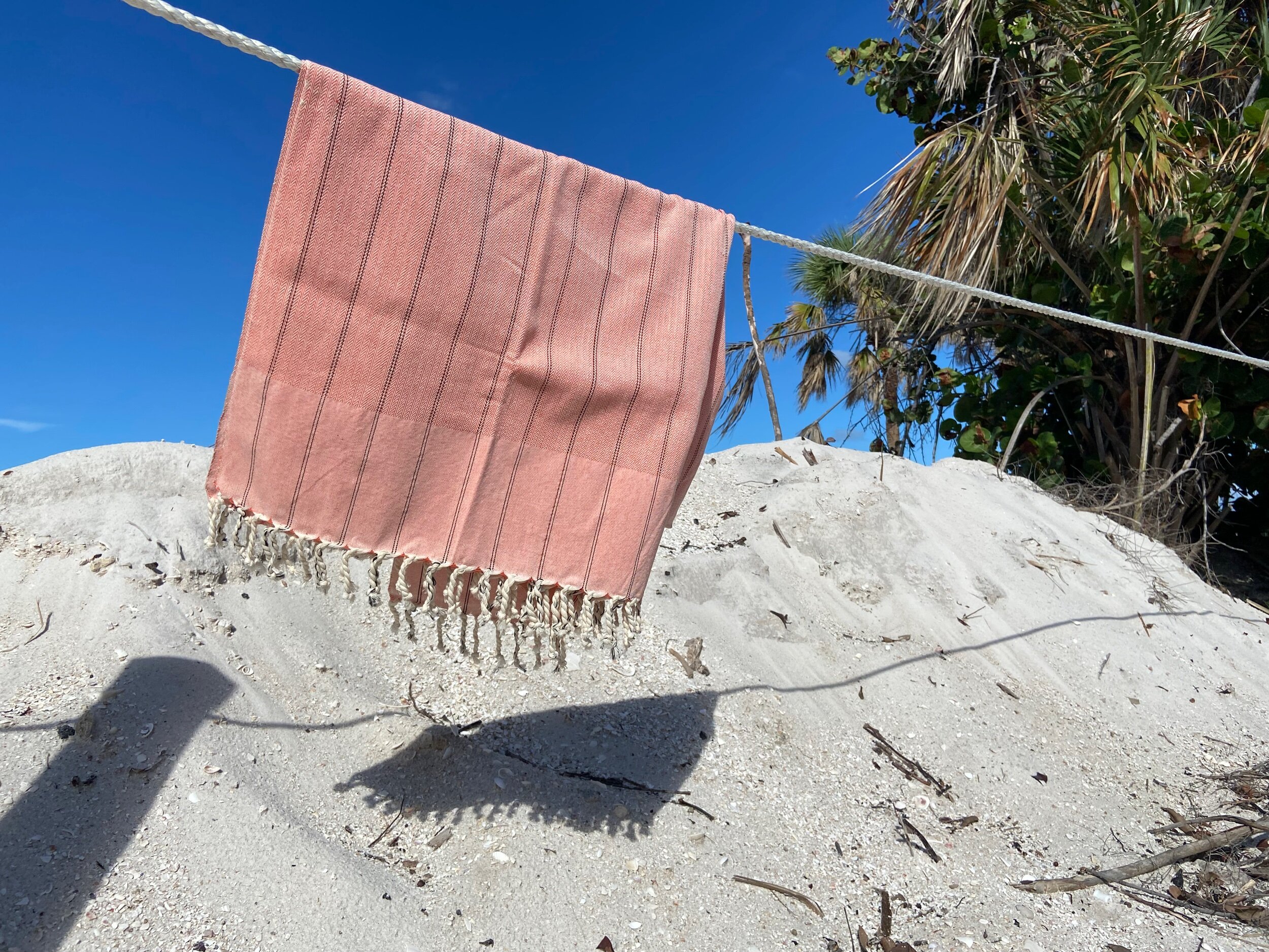 70086D1B-08D3-4C33-95AD-8CD1E0AAE9A4