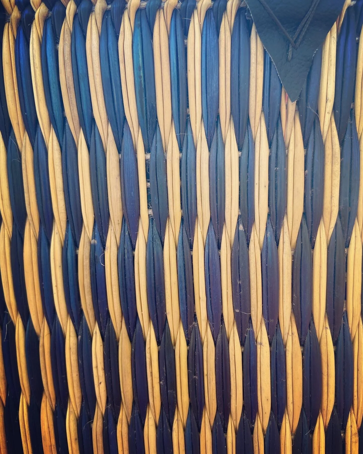 1E10149A-04A0-4B24-AAFF-C565AD9DB27E