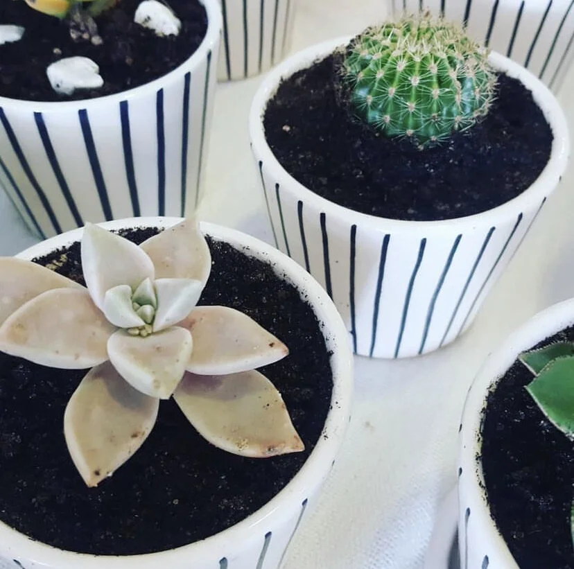 DCDF0BCC-ADEB-40BF-95E2-55679B4D9003