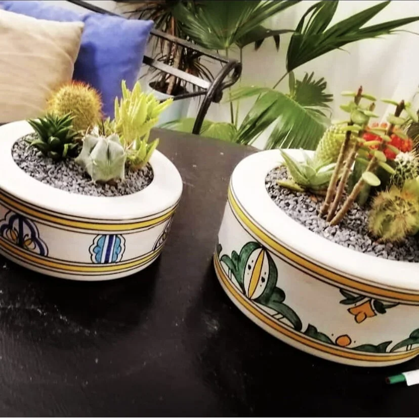 A503E52A-B210-433F-AB06-3348C8F26472