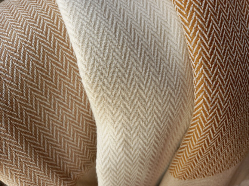 57E45C09-0EC3-447E-BBCA-50CBBB79267F