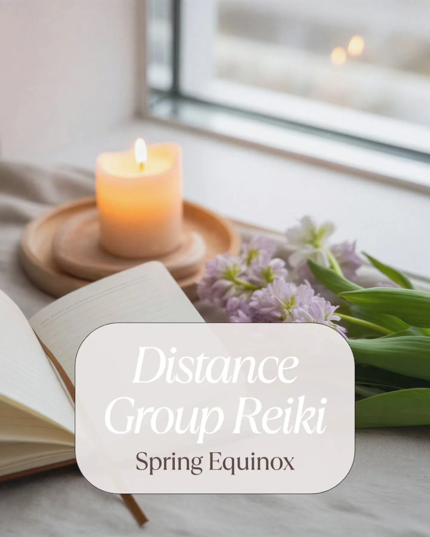 The Spring Equinox is almost here and it&rsquo;s one of my favourite times to reset my energy!

There&rsquo;s something about this shift.. Coming out of winter, into light, into movement again. It&rsquo;s the perfect moment to clear what&rsquo;s been