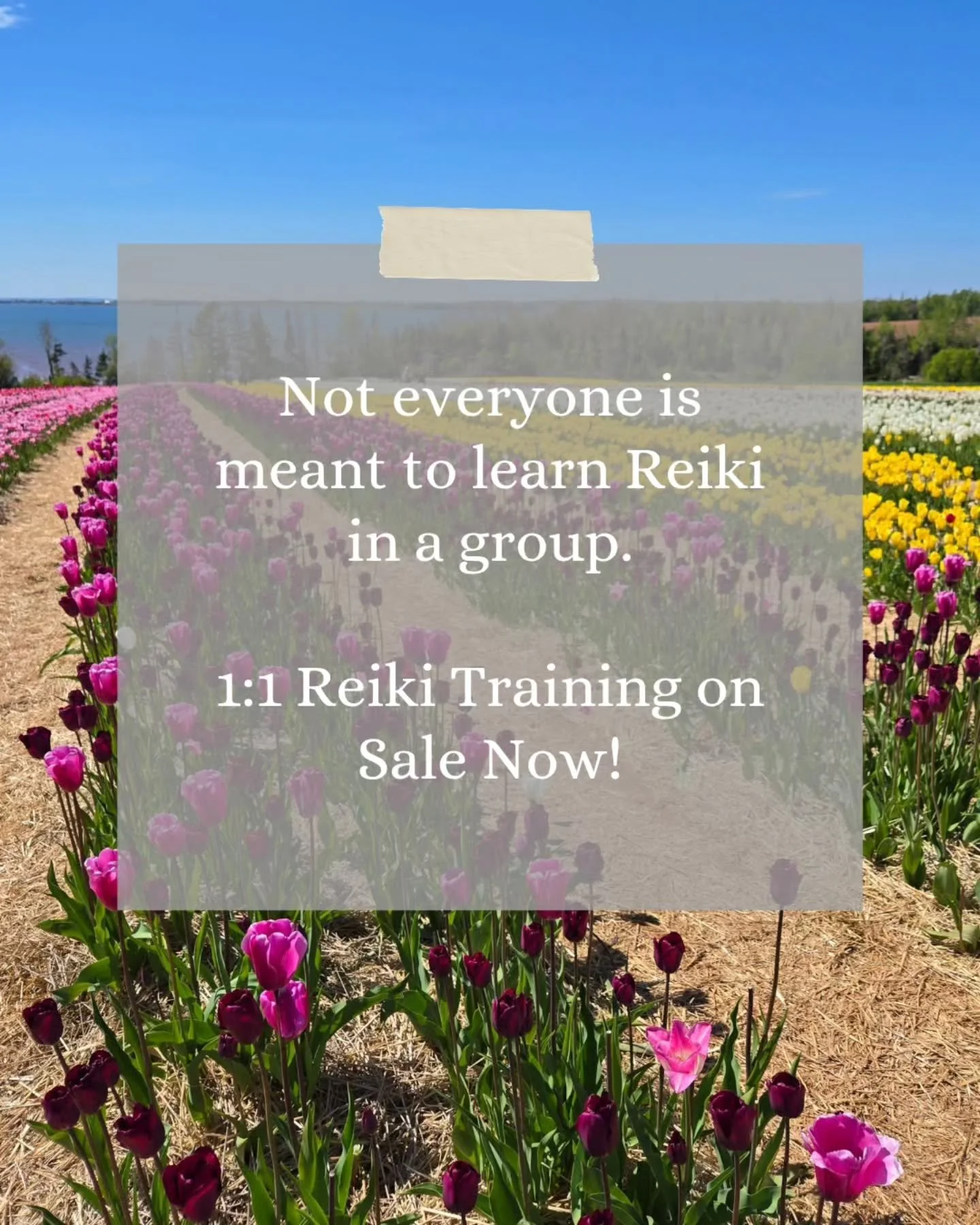 Have you been feeling called to learn Reiki but can't make a group class or prefer a more personalized experience?

For the month of June, I'm offering a special rate on private 1:1 Reiki training, available in person only. 

Private training allows 